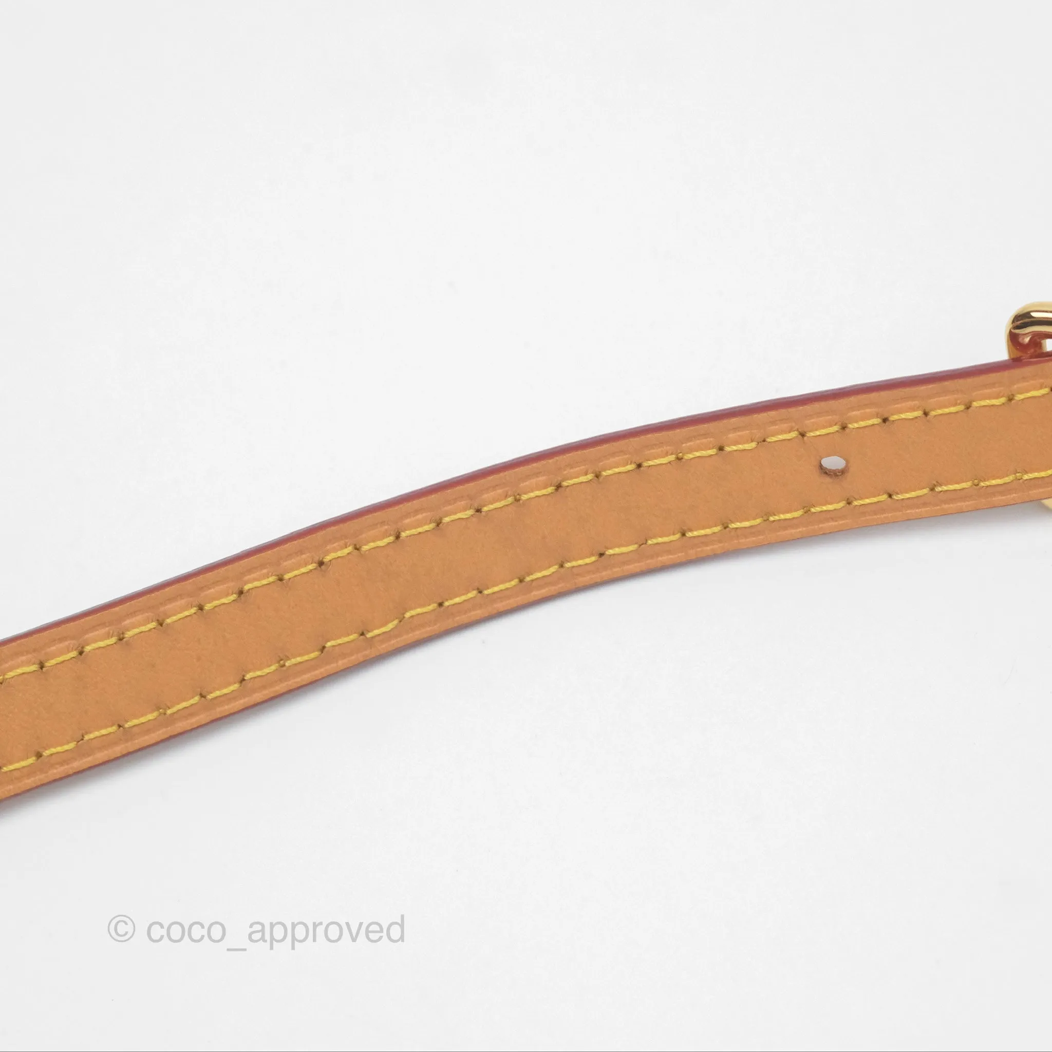 Louis Vuitton Nano Speedy Monogram