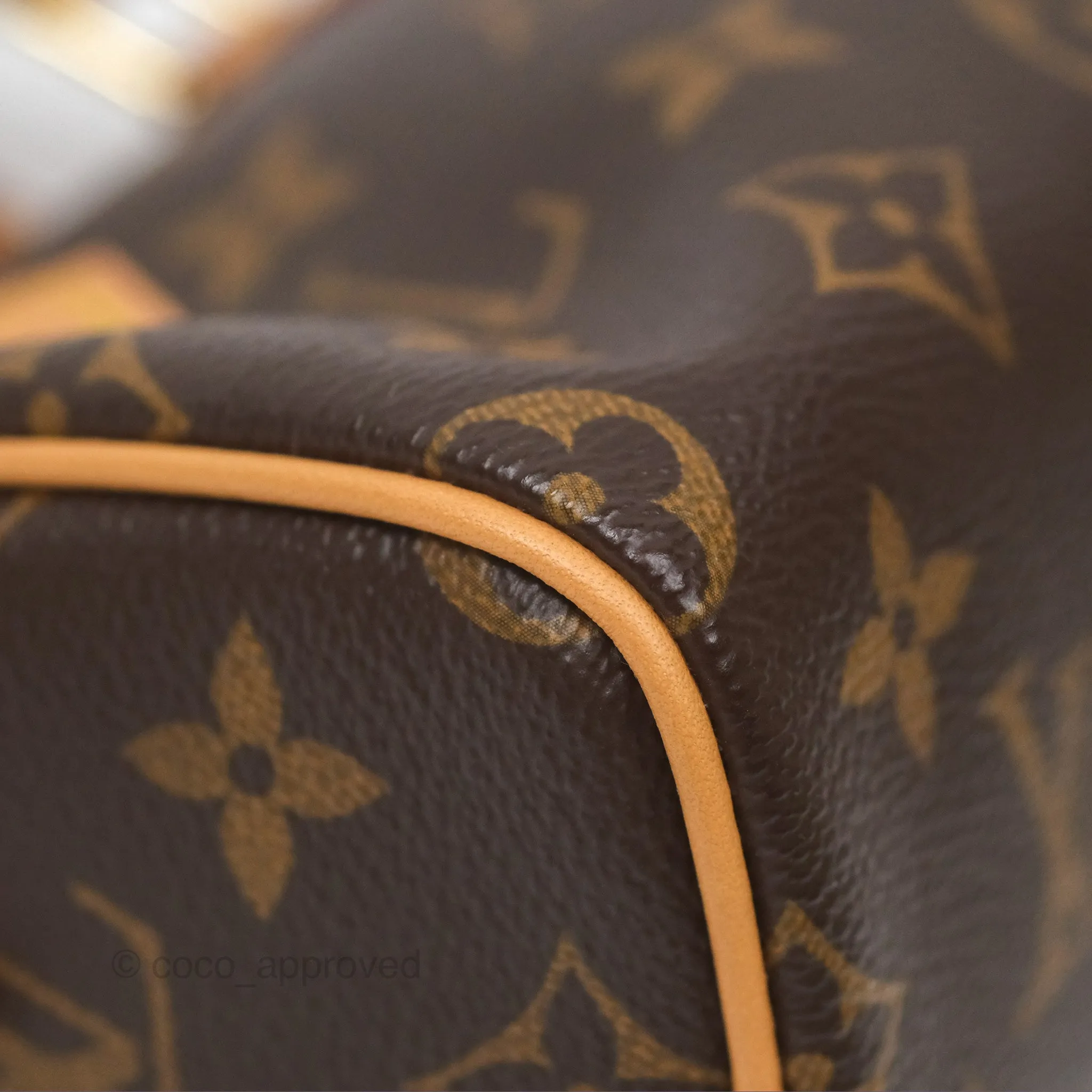 Louis Vuitton Nano Speedy Monogram