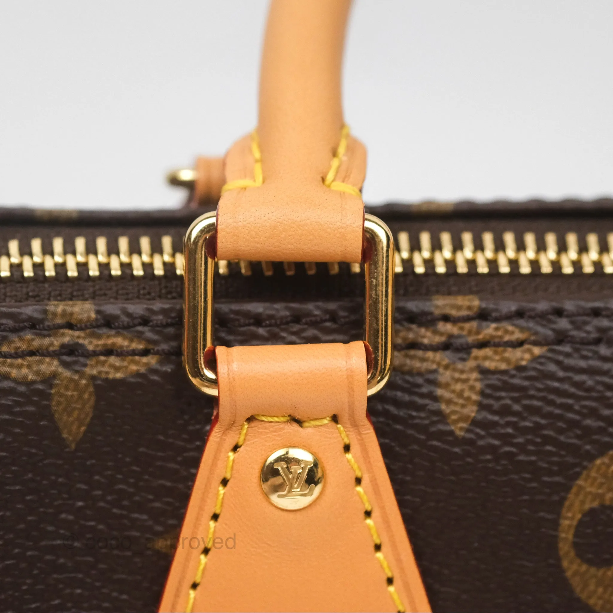 Louis Vuitton Nano Speedy Monogram
