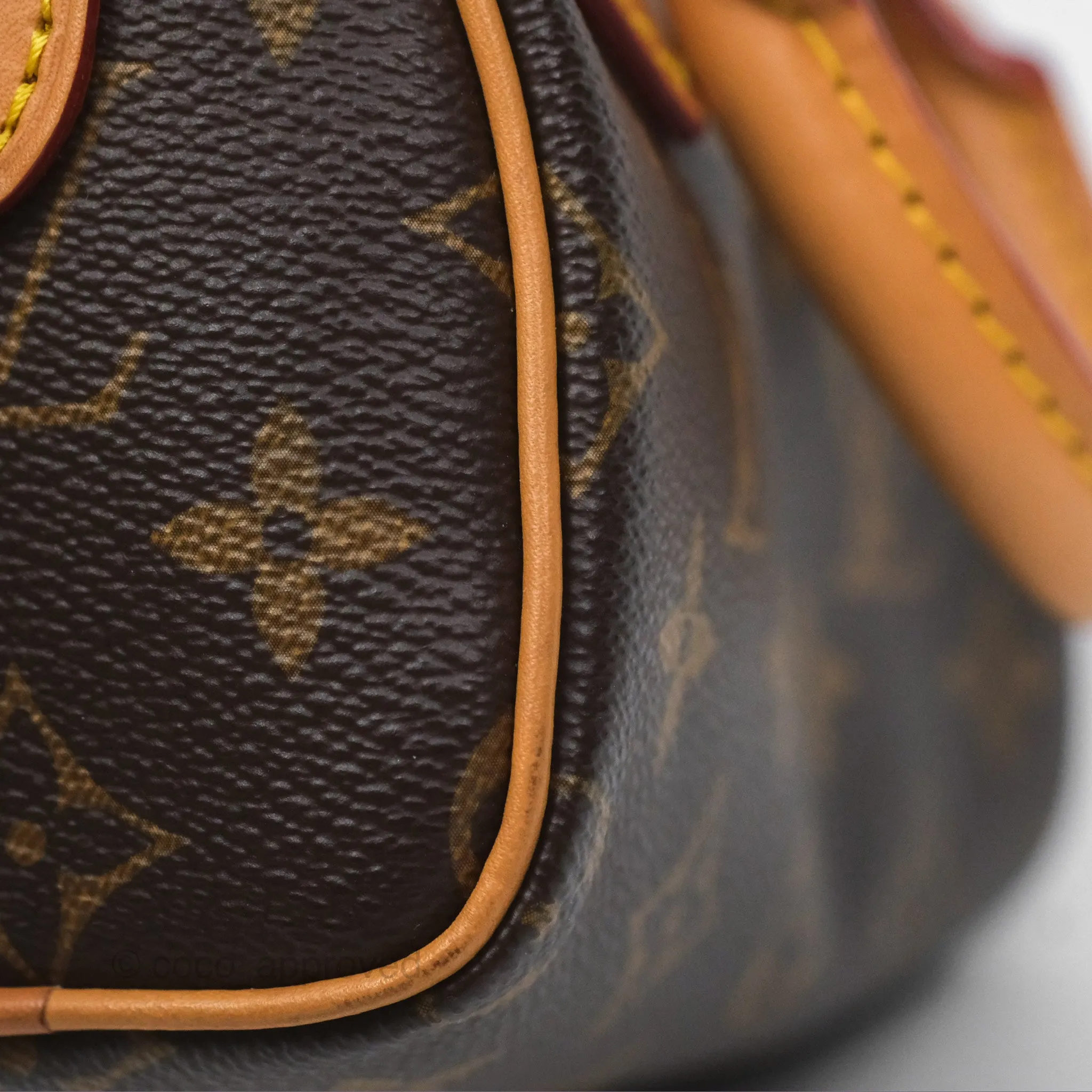 Louis Vuitton Nano Speedy Monogram