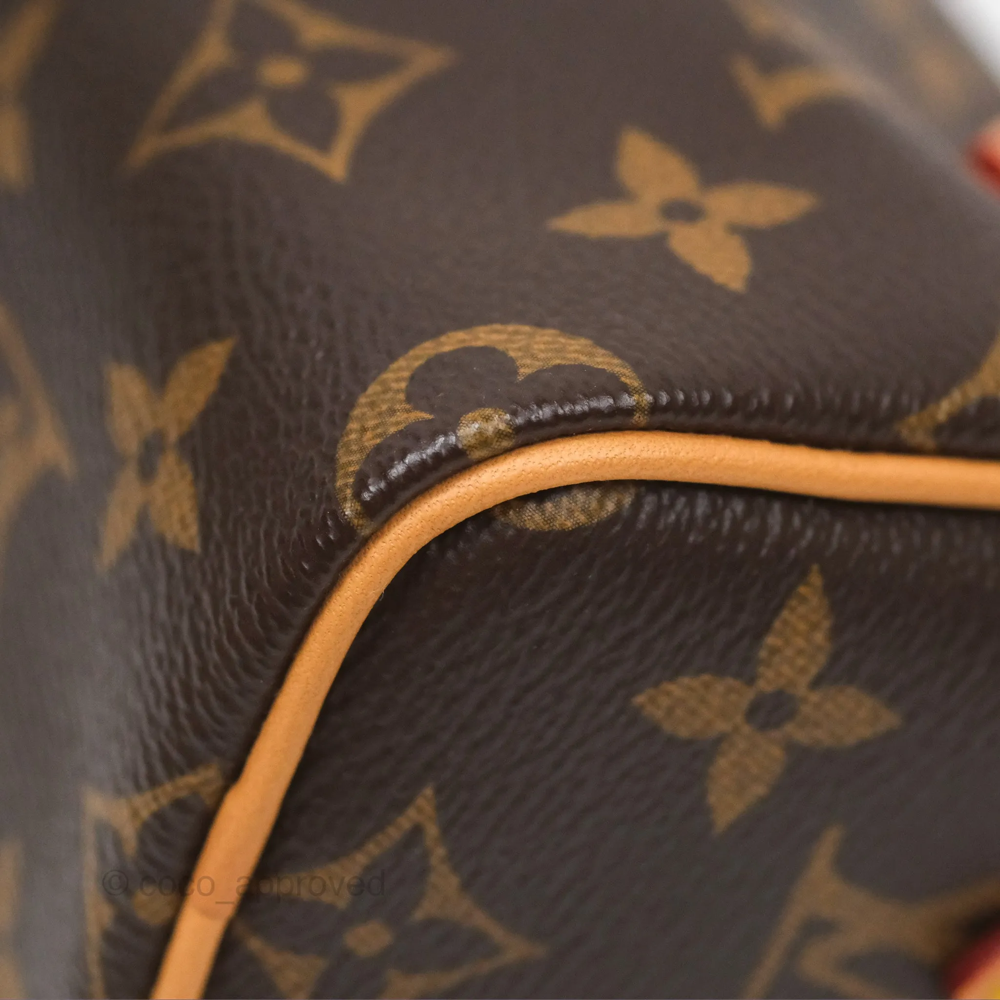 Louis Vuitton Nano Speedy Monogram