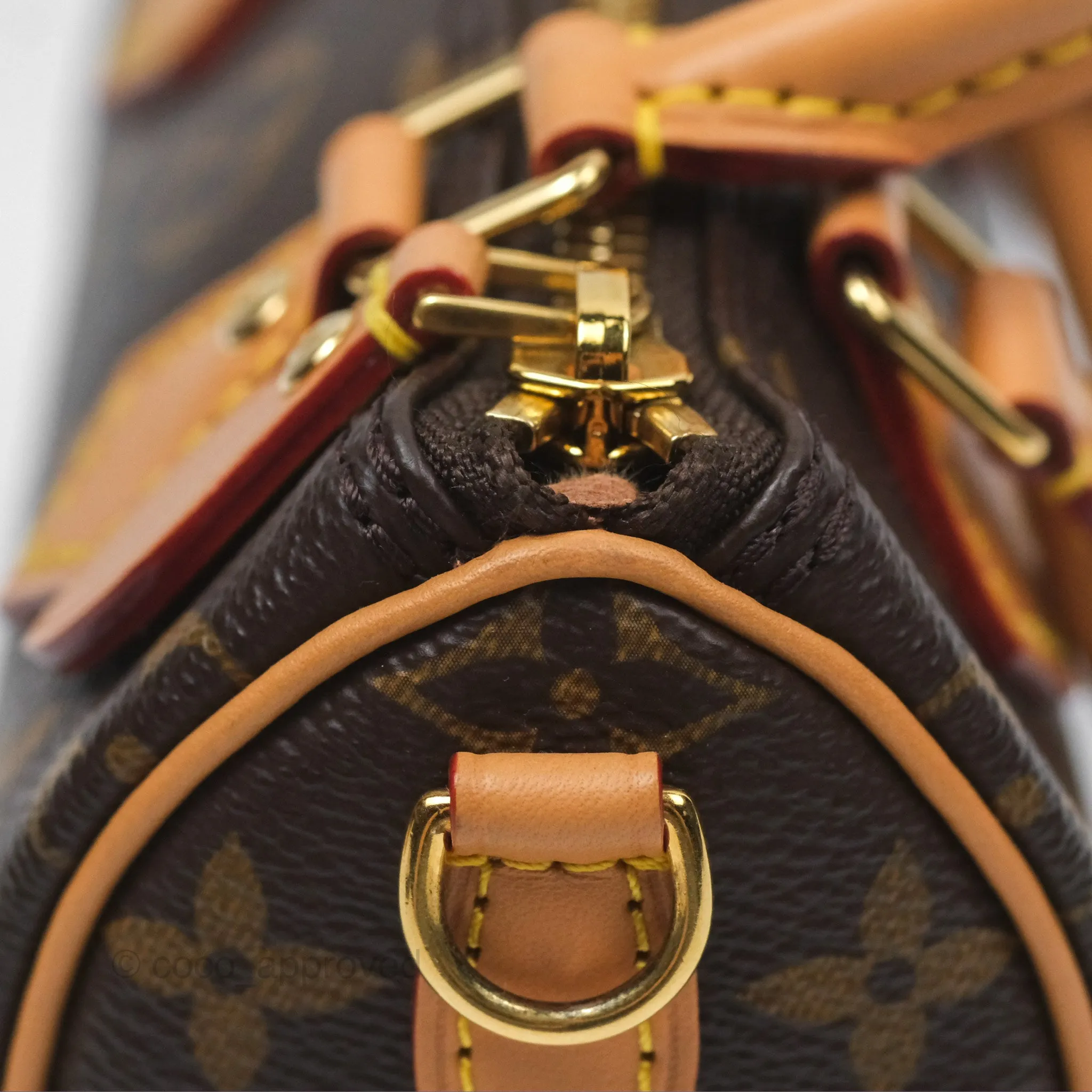 Louis Vuitton Nano Speedy Monogram