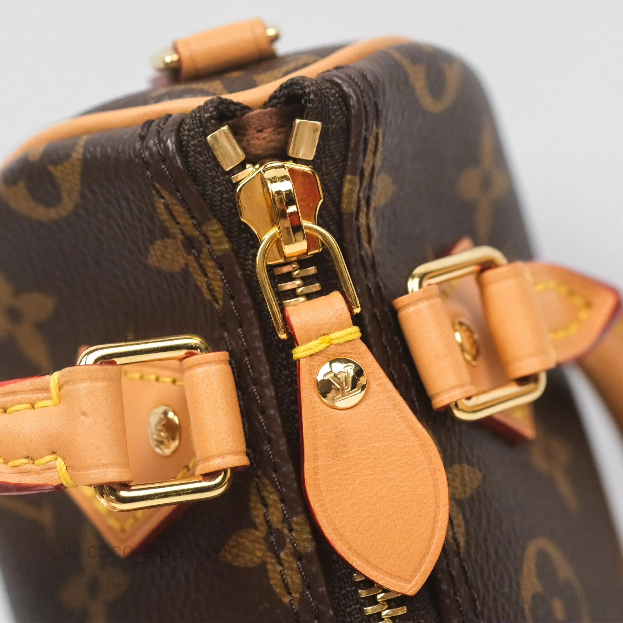 Louis Vuitton Nano Speedy Monogram