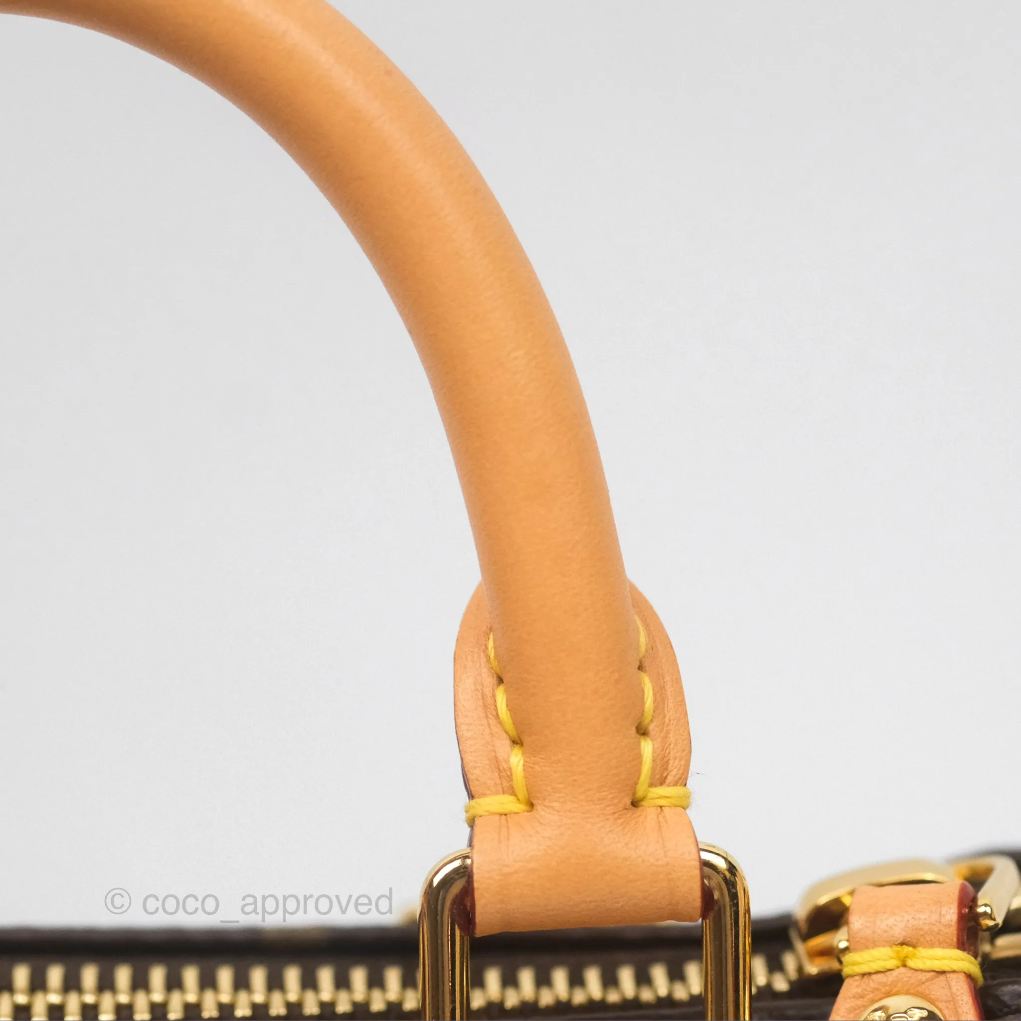 Louis Vuitton Nano Speedy Monogram