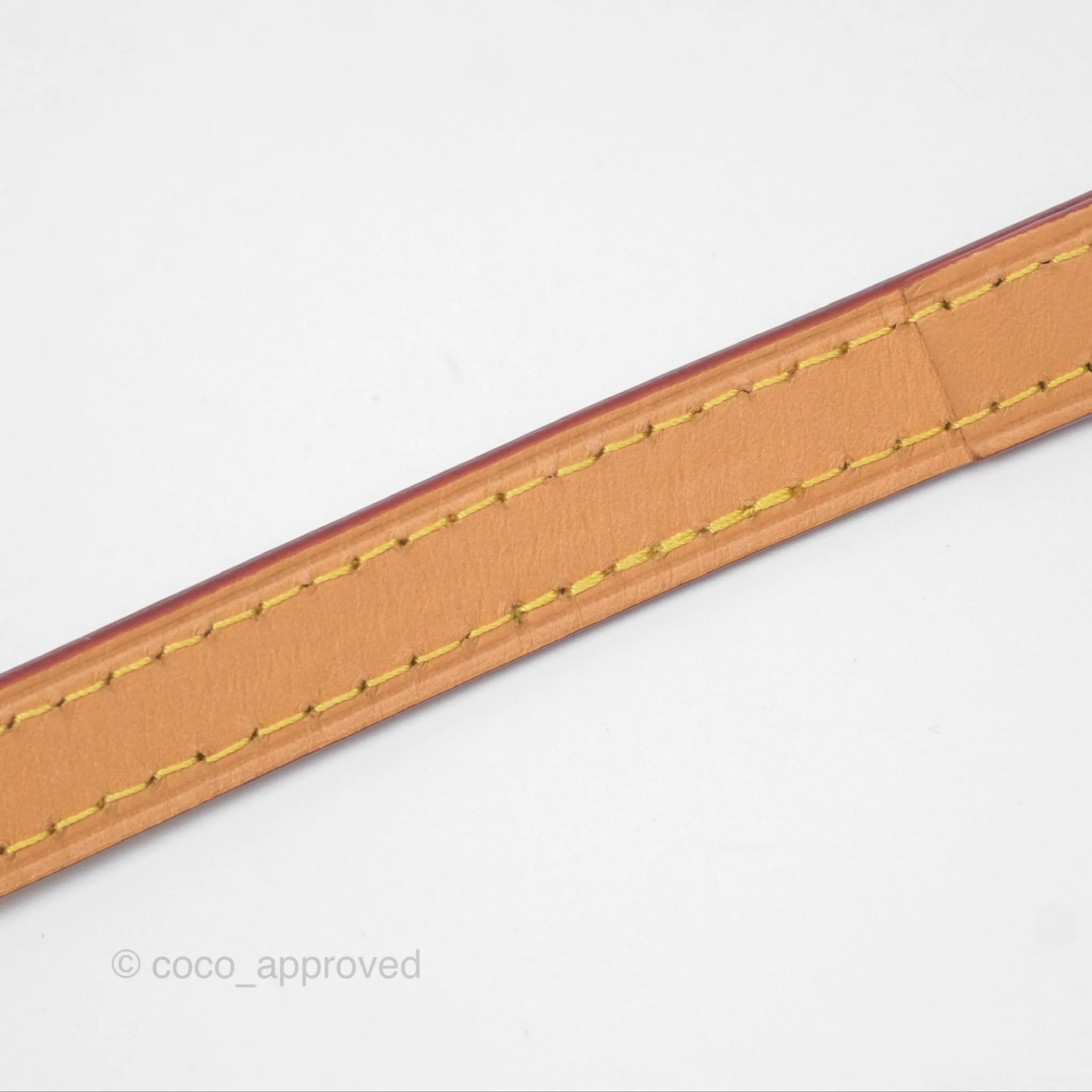 Louis Vuitton Nano Speedy Monogram