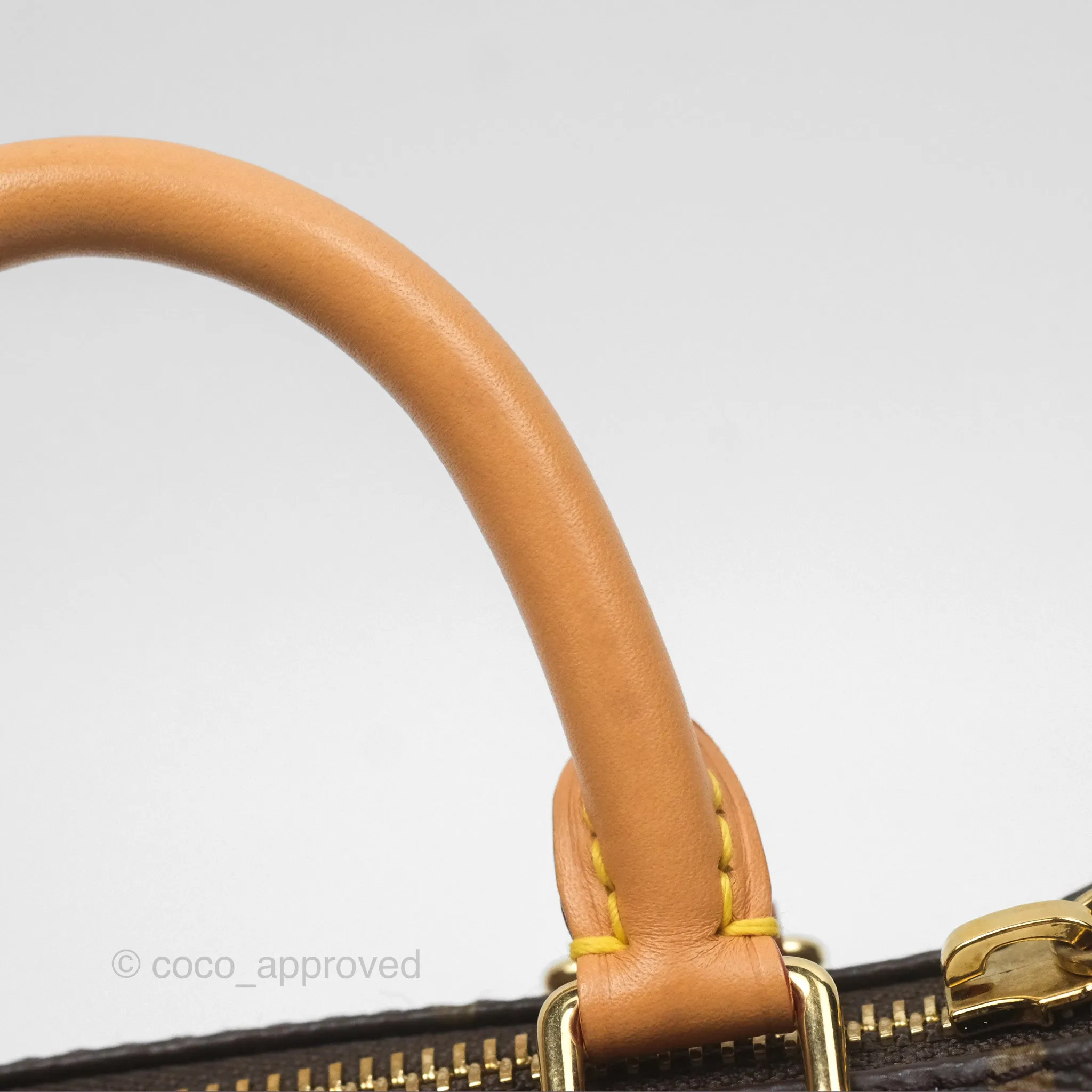 Louis Vuitton Nano Speedy Monogram