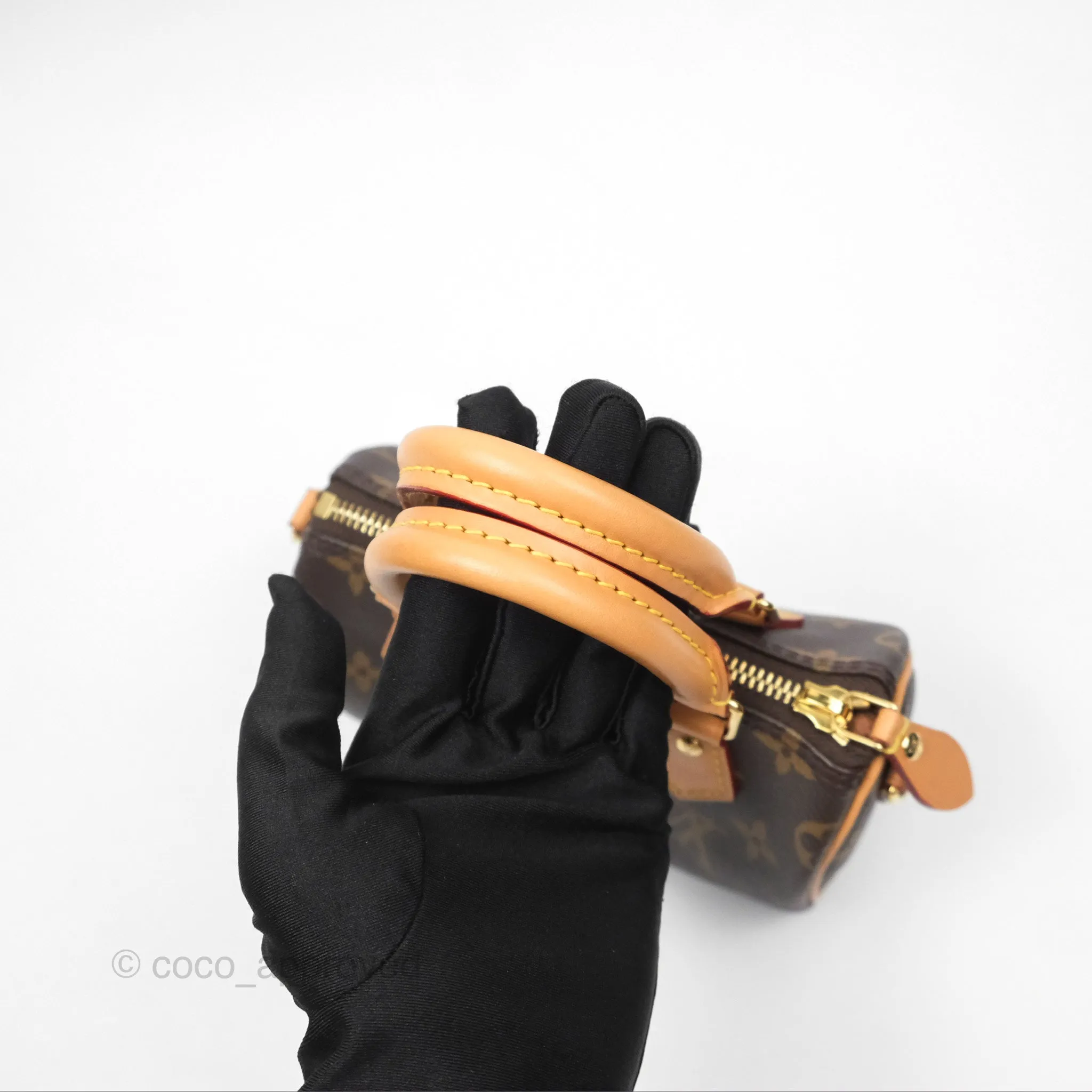 Louis Vuitton Nano Speedy Monogram
