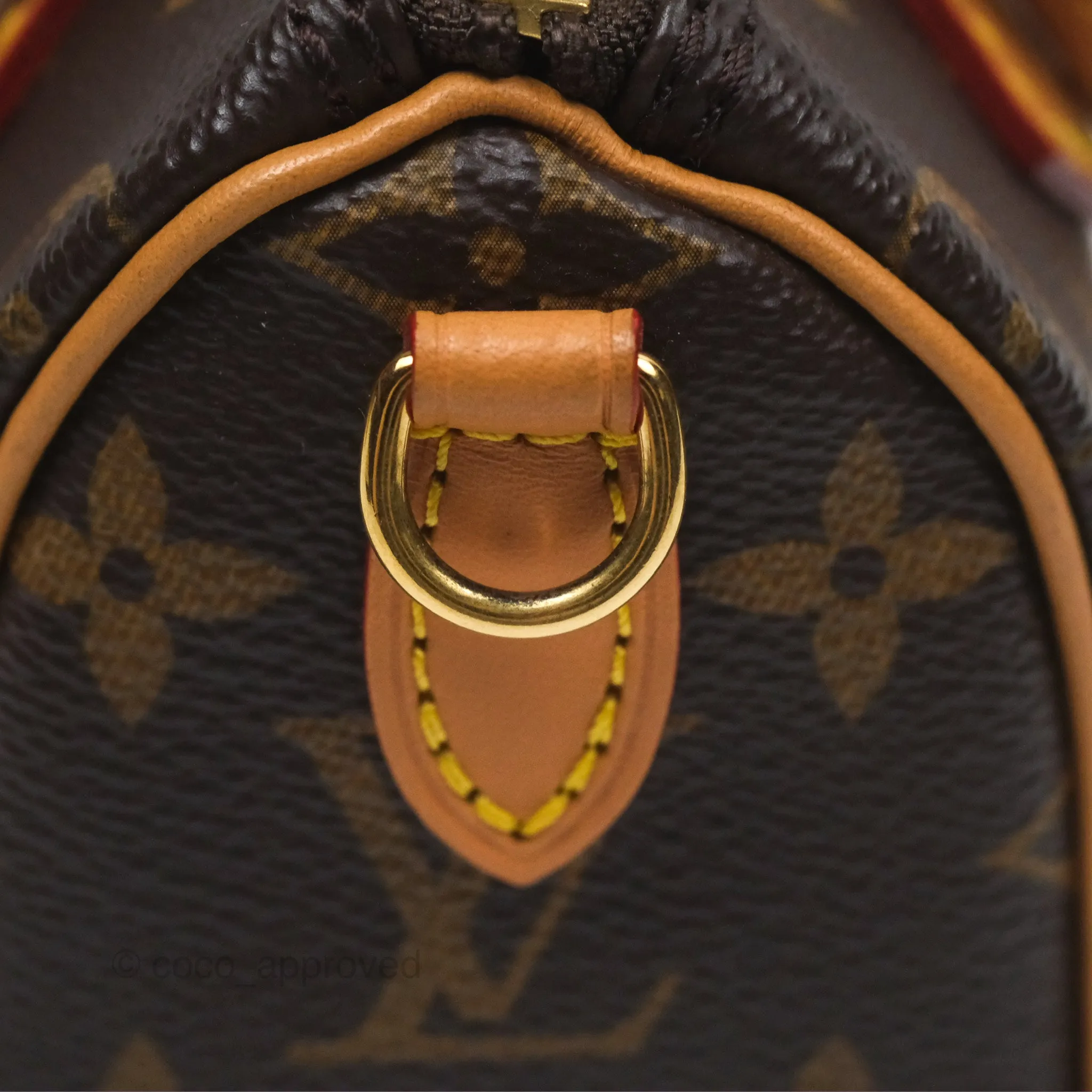 Louis Vuitton Nano Speedy Monogram