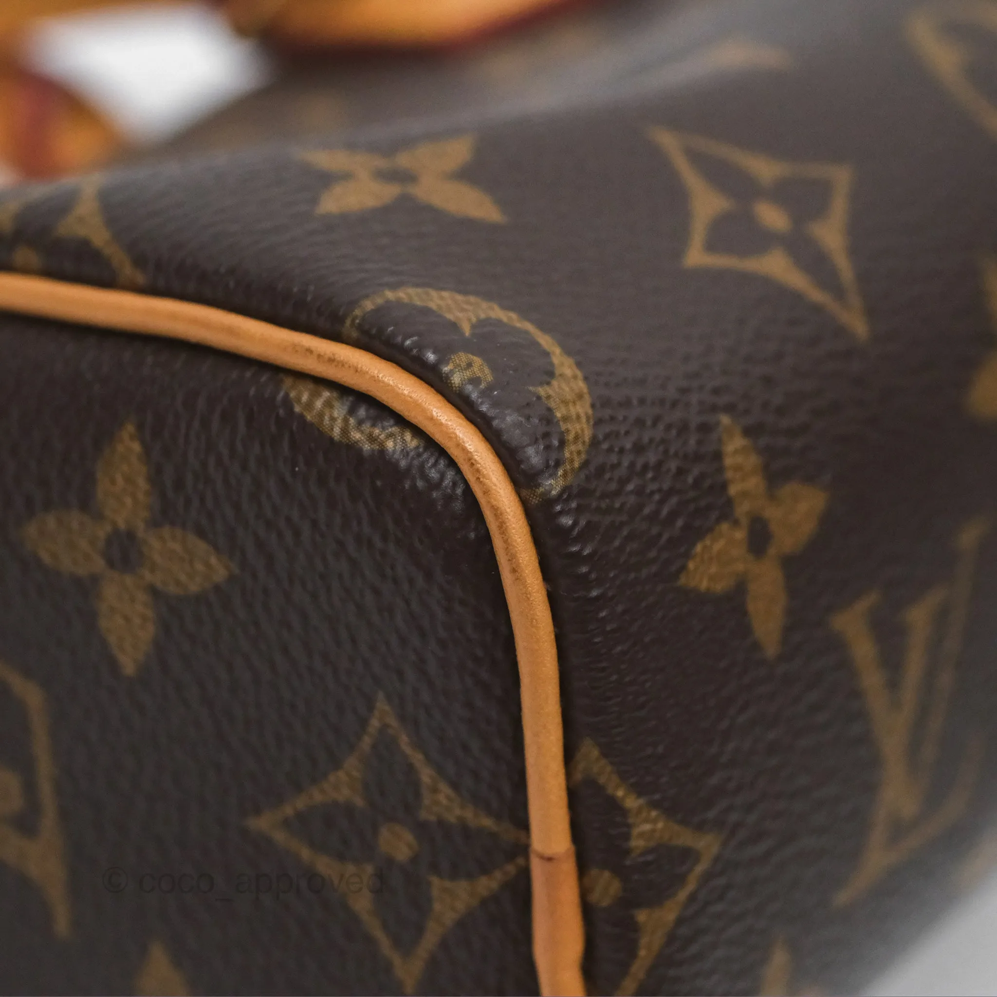 Louis Vuitton Nano Speedy Monogram