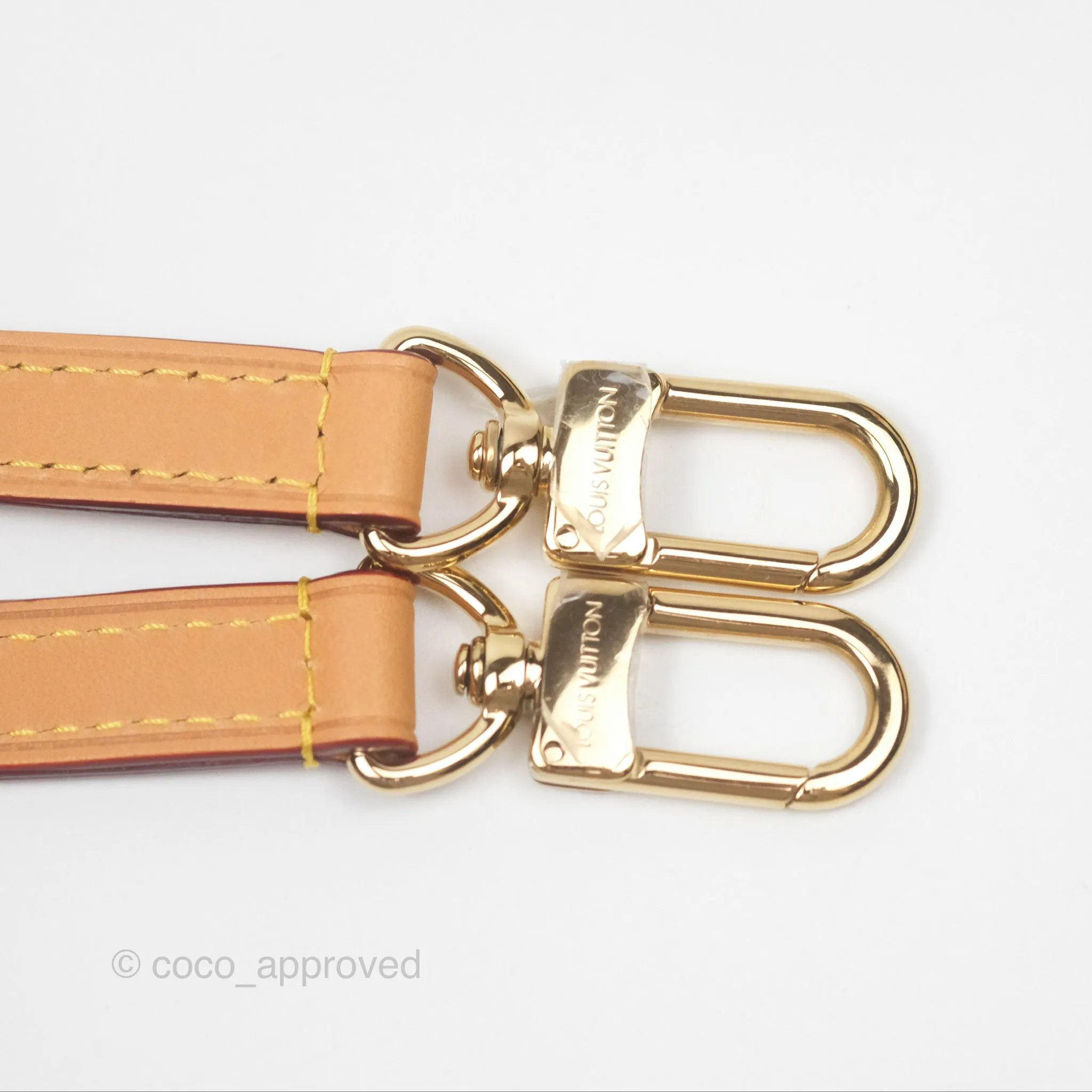 Louis Vuitton Nano Speedy Monogram