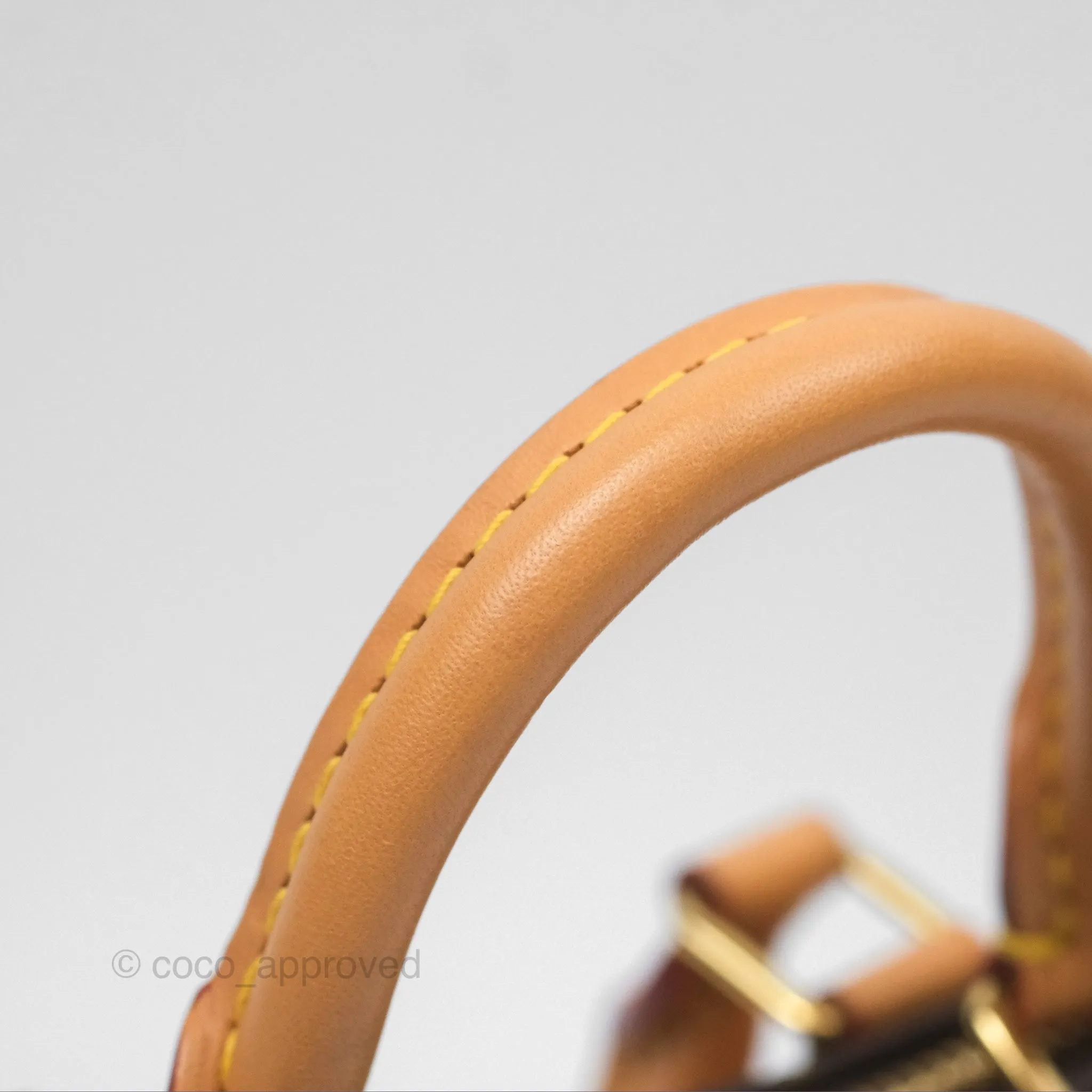 Louis Vuitton Nano Speedy Monogram