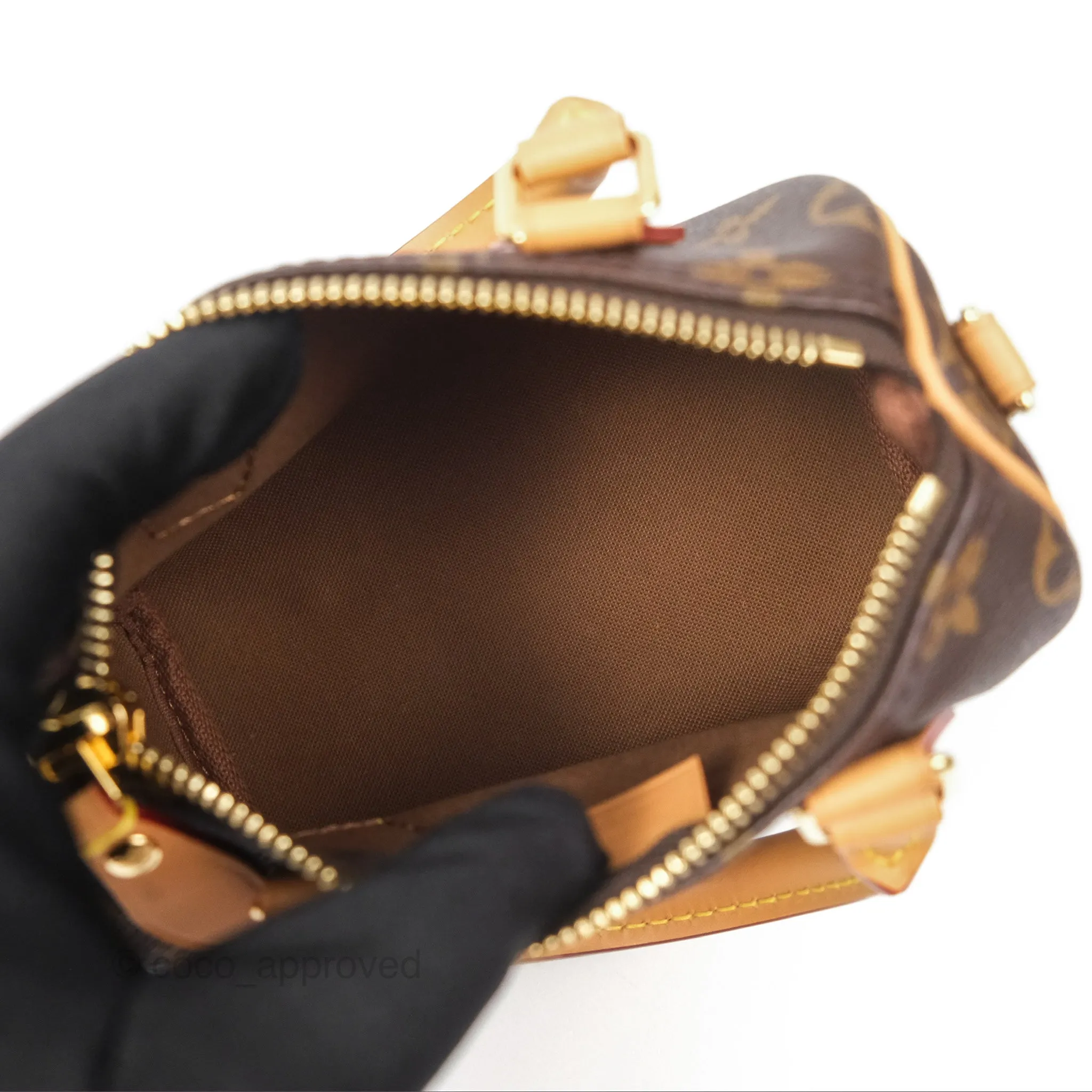 Louis Vuitton Nano Speedy Monogram