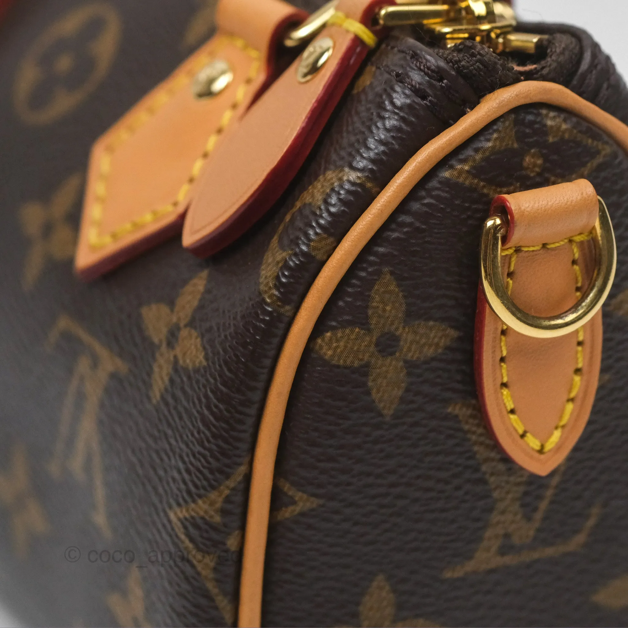 Louis Vuitton Nano Speedy Monogram
