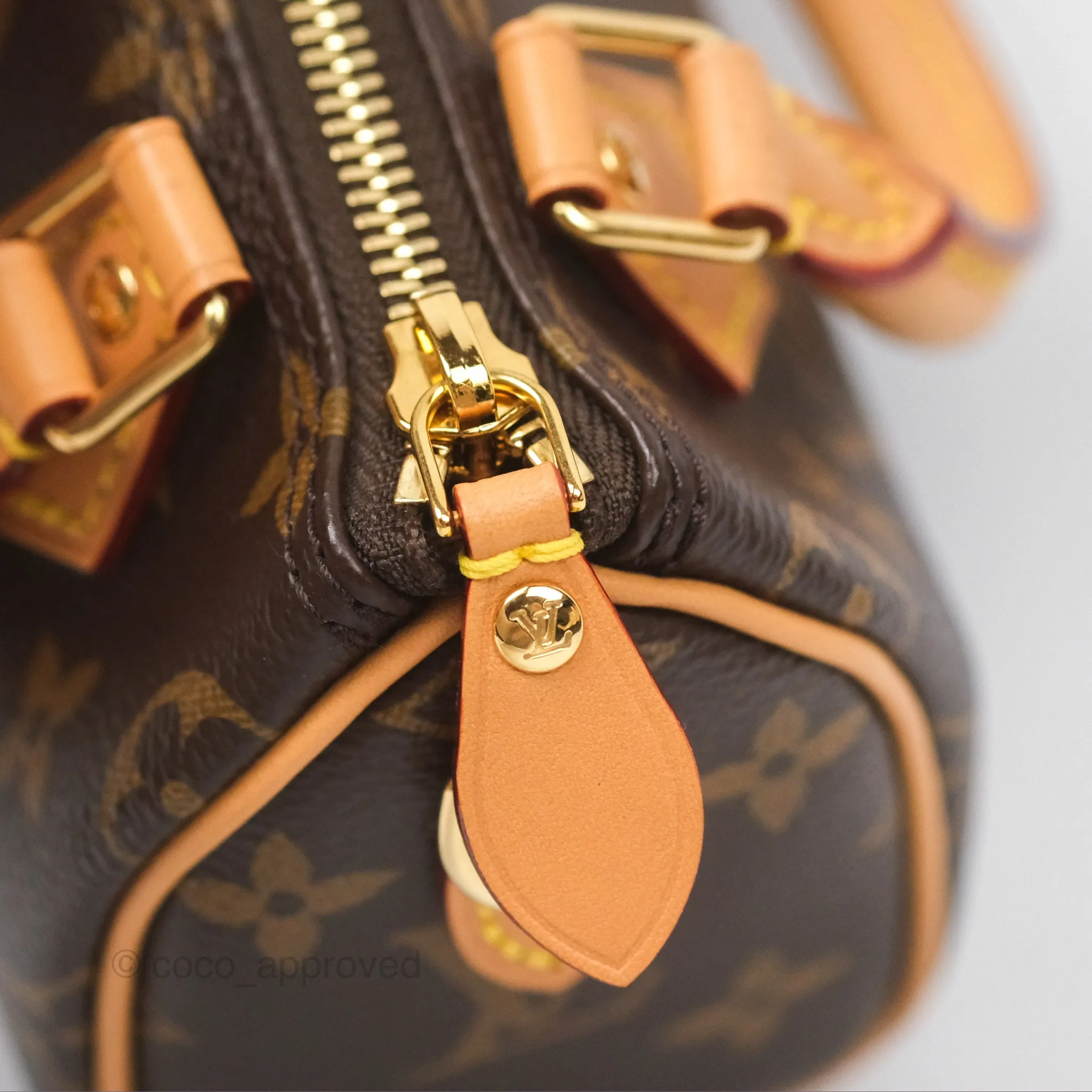 Louis Vuitton Nano Speedy Monogram