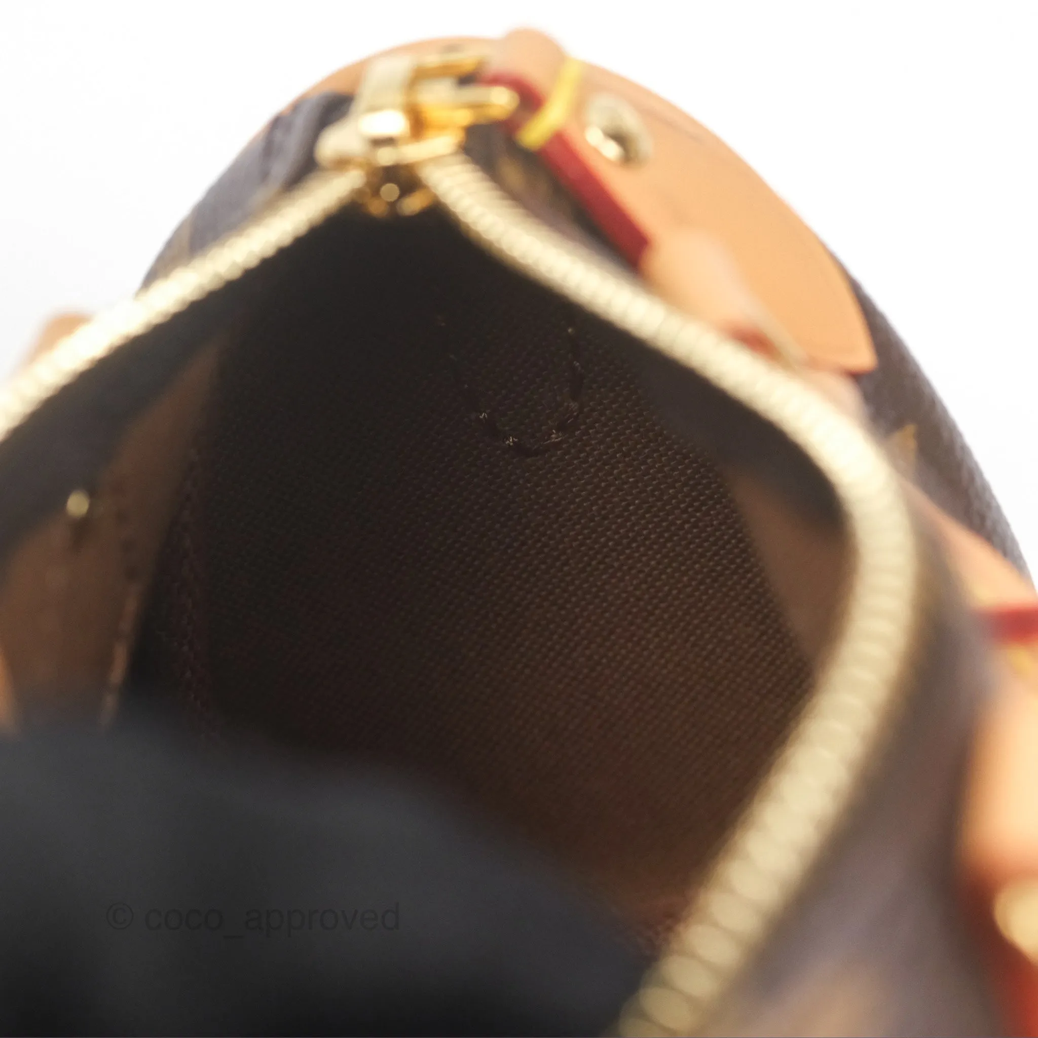 Louis Vuitton Nano Speedy Monogram
