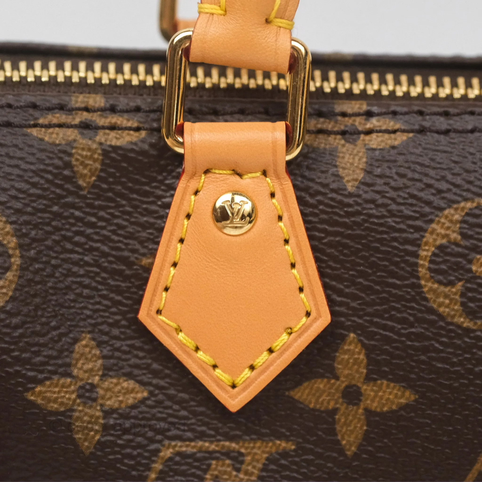 Louis Vuitton Nano Speedy Monogram