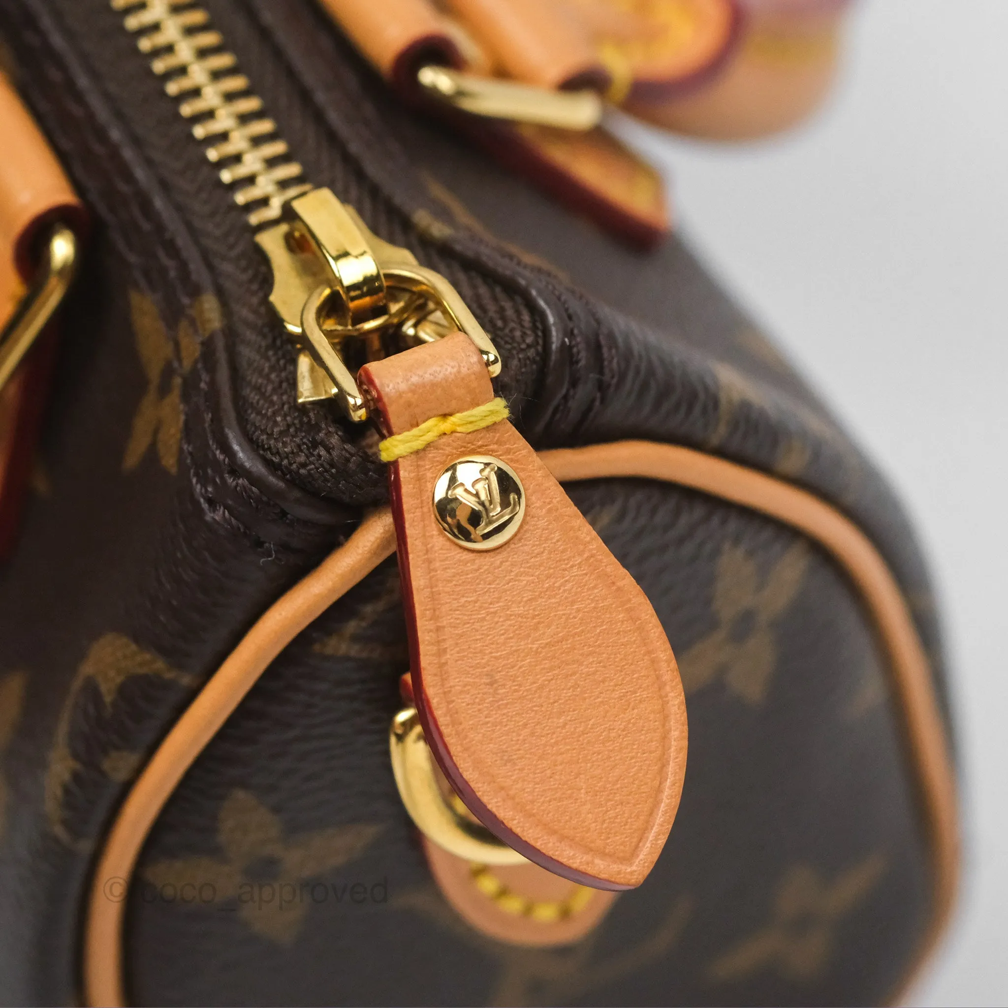 Louis Vuitton Nano Speedy Monogram