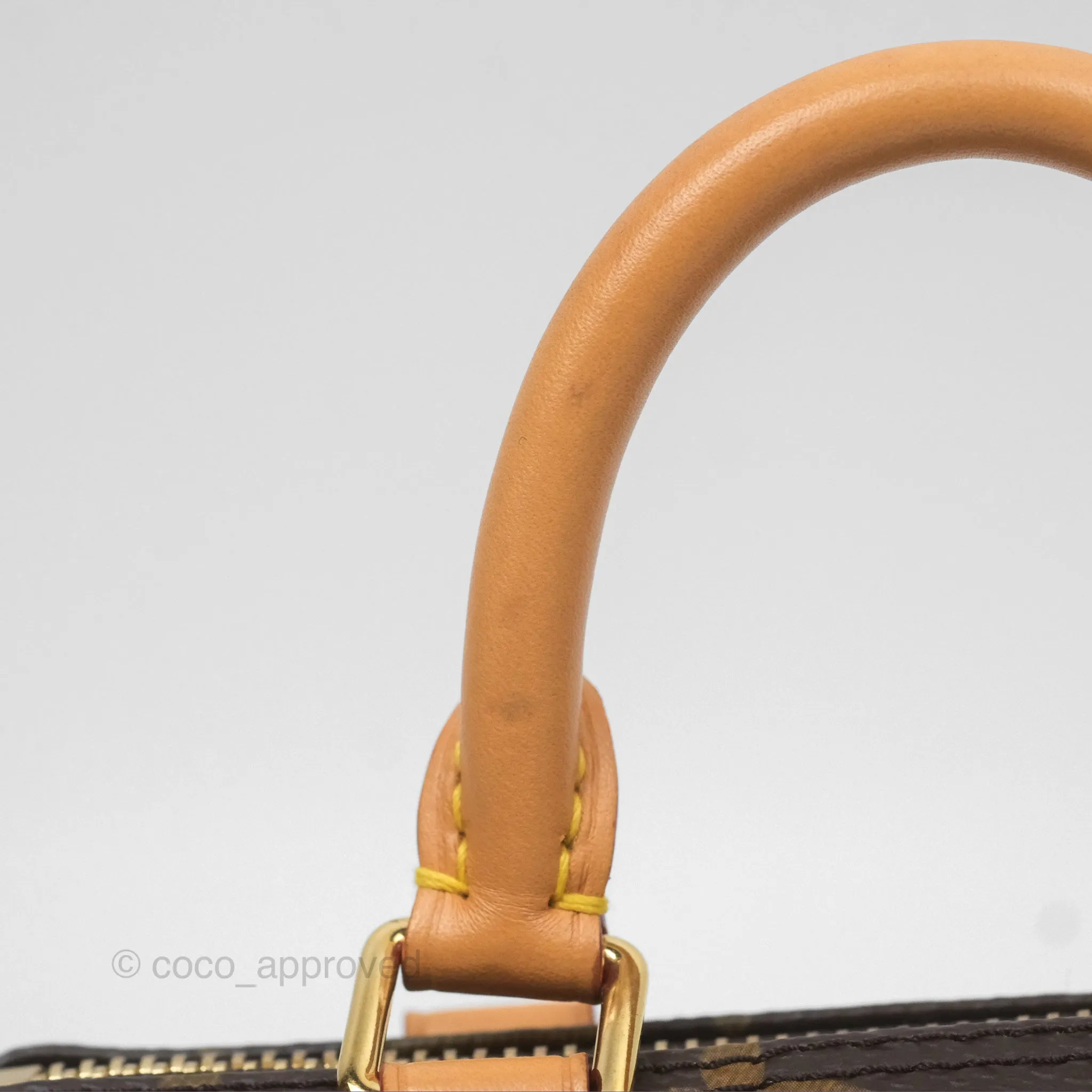Louis Vuitton Nano Speedy Monogram