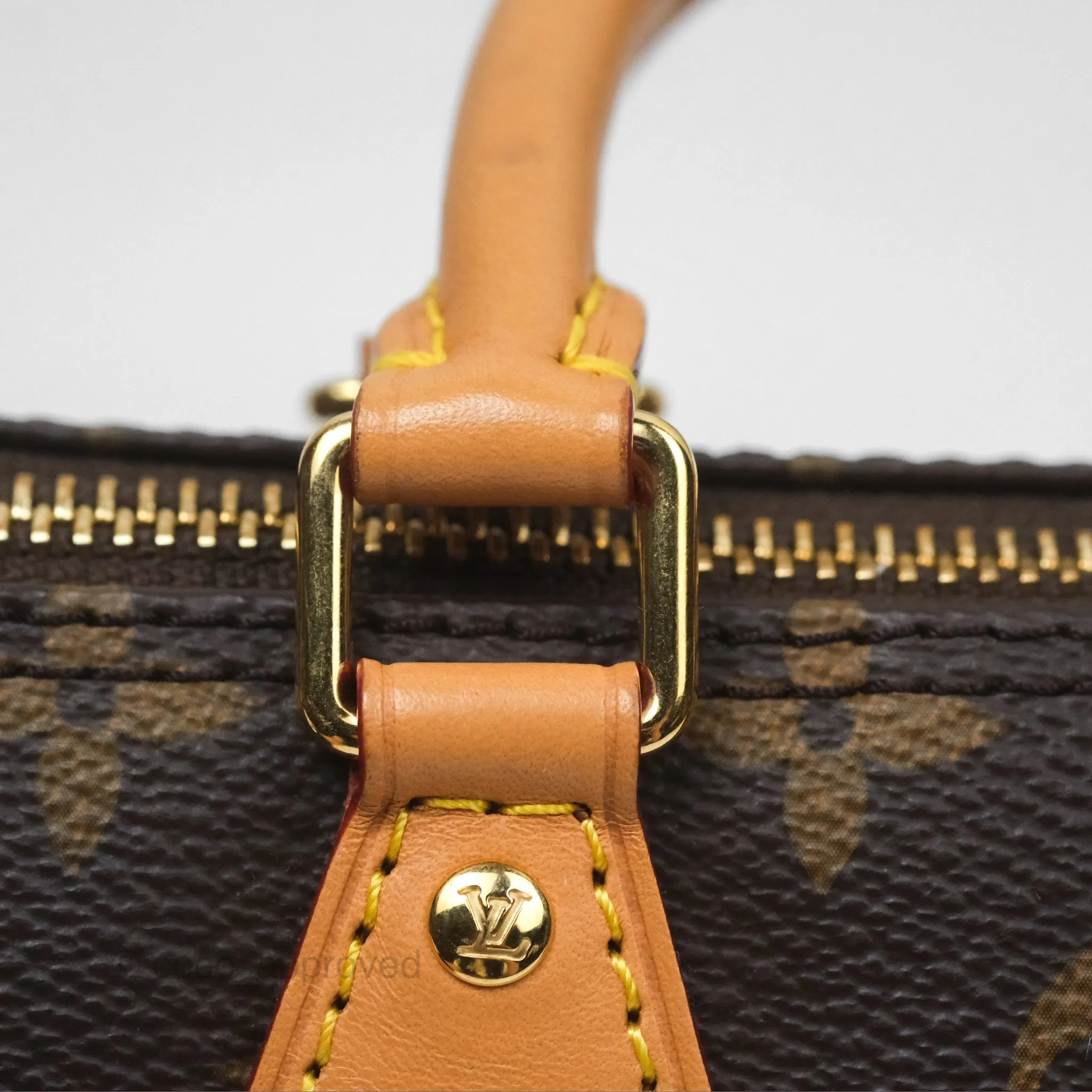 Louis Vuitton Nano Speedy Monogram