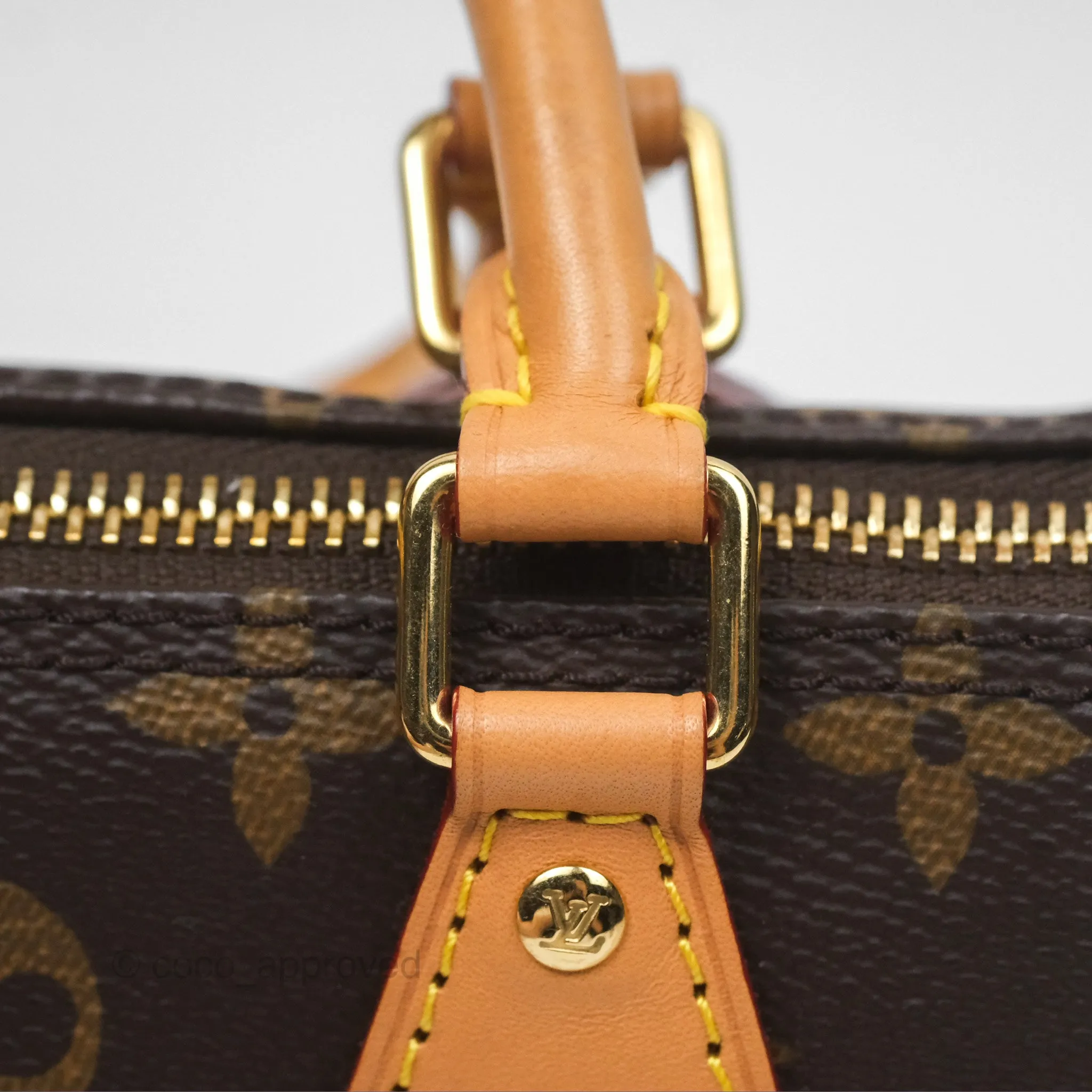 Louis Vuitton Nano Speedy Monogram