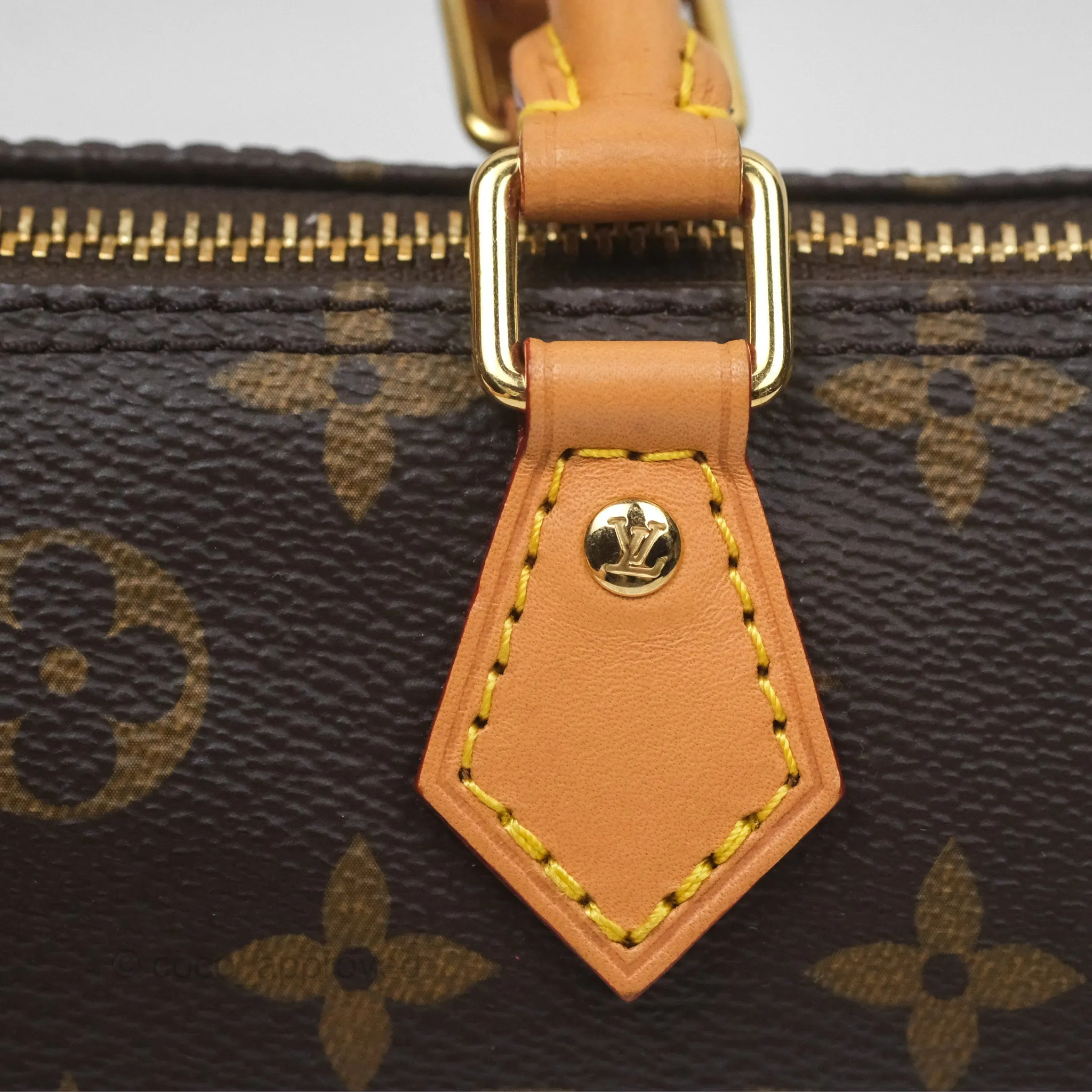 Louis Vuitton Nano Speedy Monogram