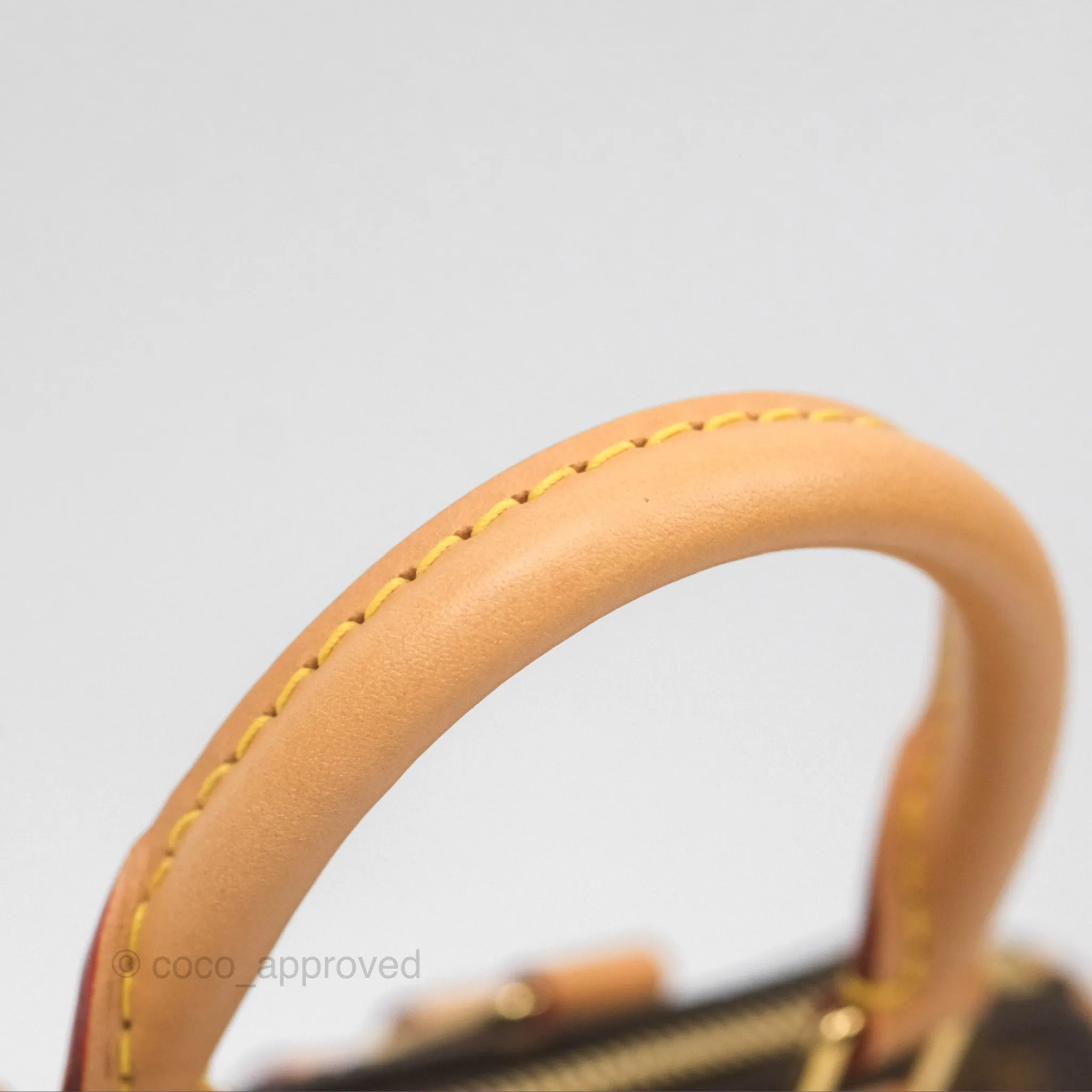 Louis Vuitton Nano Speedy Monogram