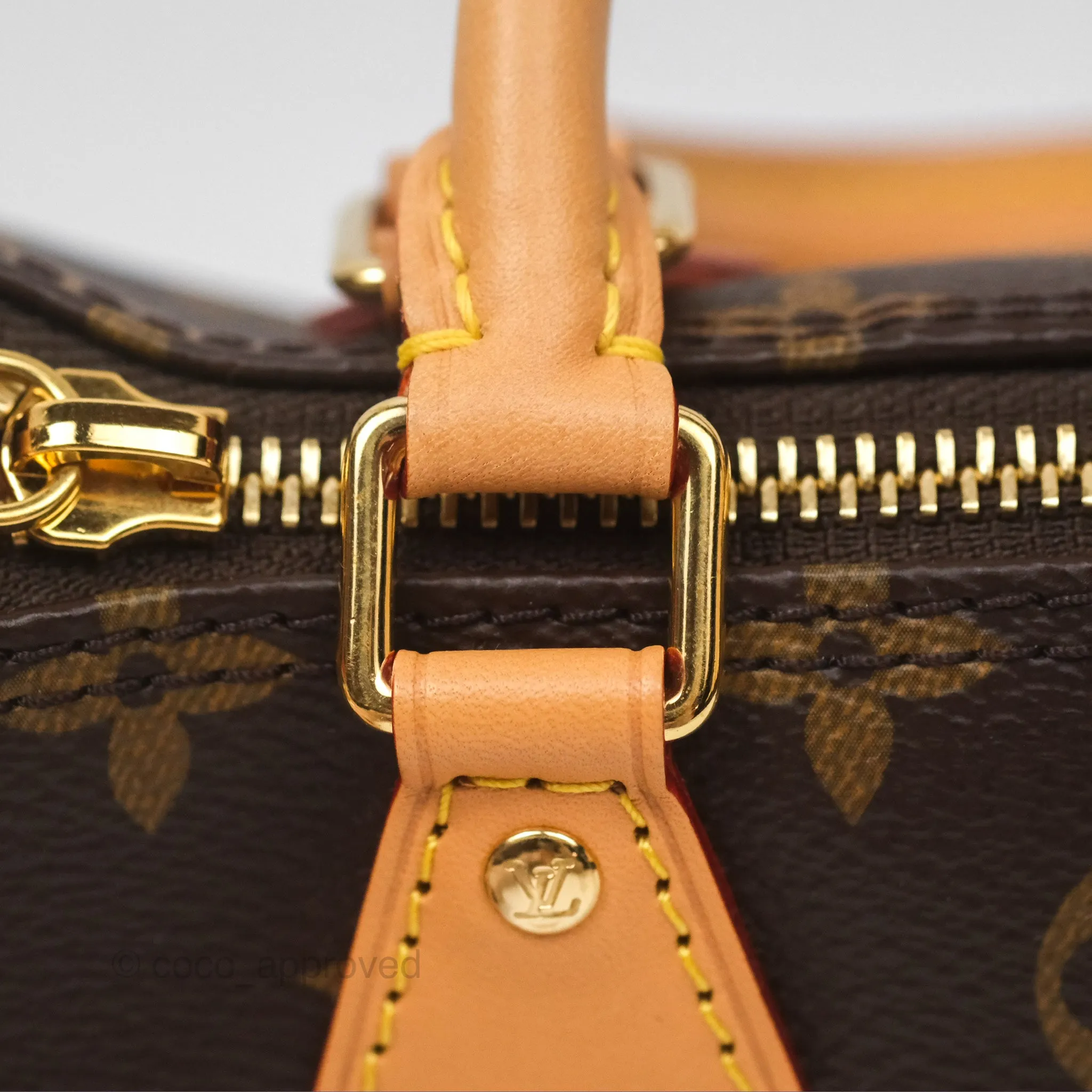 Louis Vuitton Nano Speedy Monogram