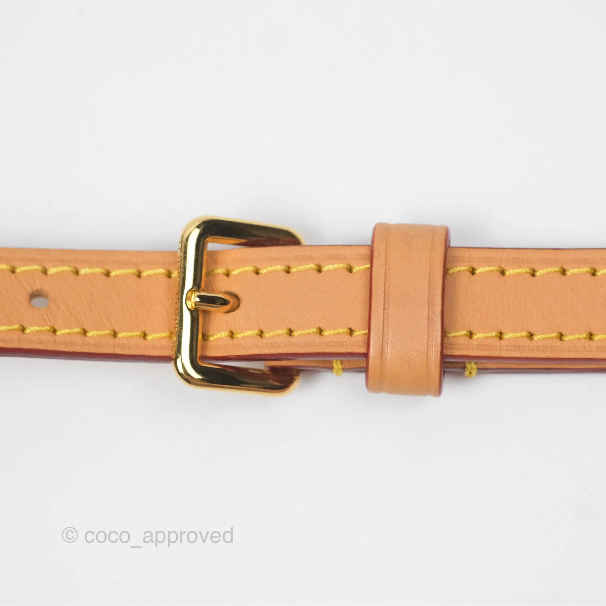 Louis Vuitton Nano Speedy Monogram