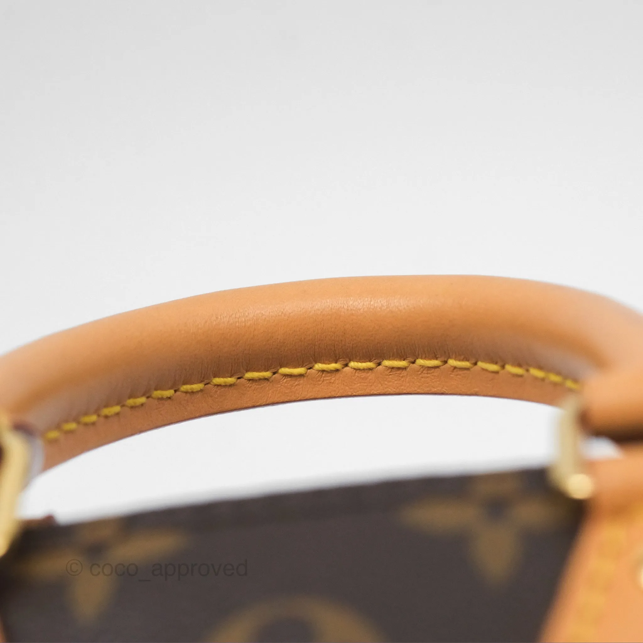Louis Vuitton Nano Speedy Monogram
