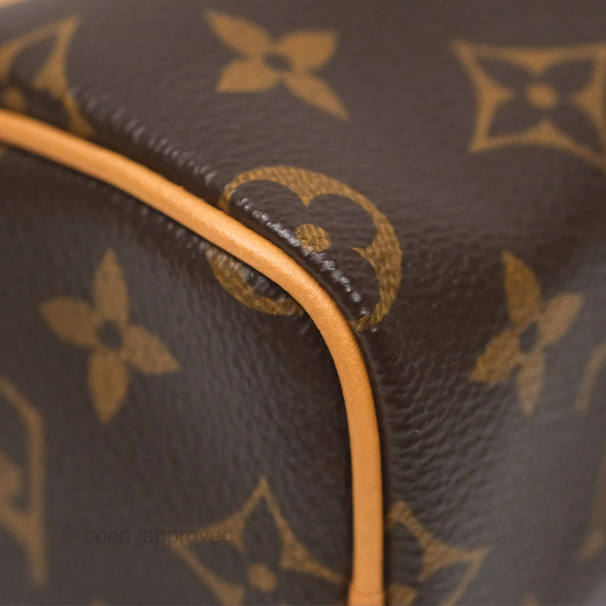 Louis Vuitton Nano Speedy Monogram