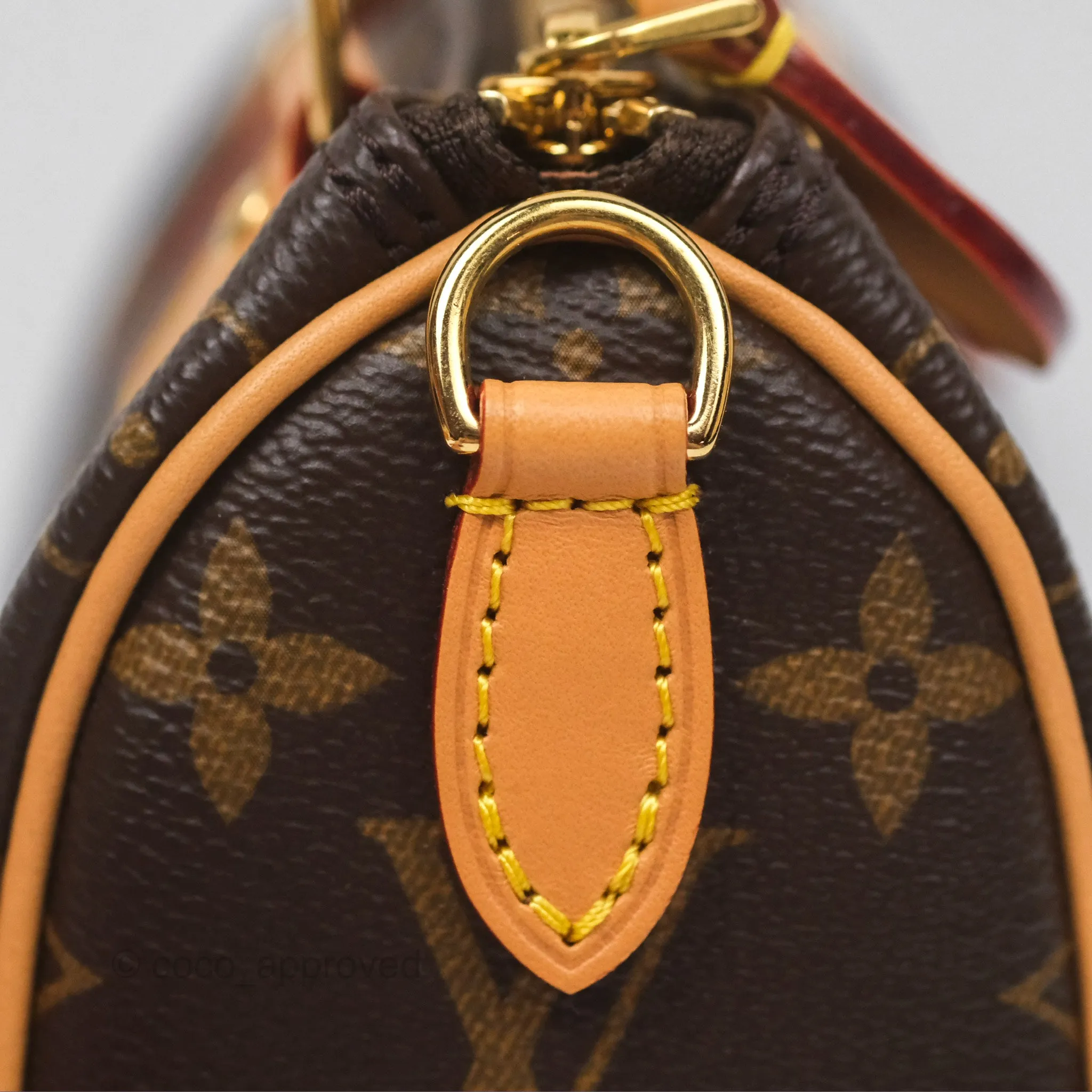 Louis Vuitton Nano Speedy Monogram