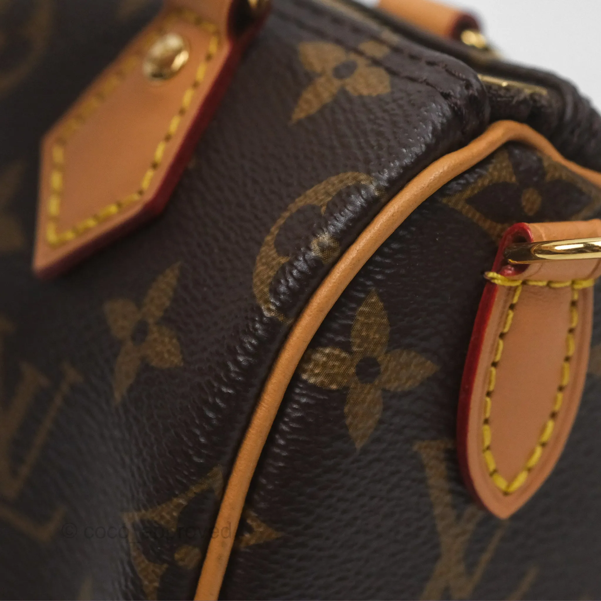 Louis Vuitton Nano Speedy Monogram