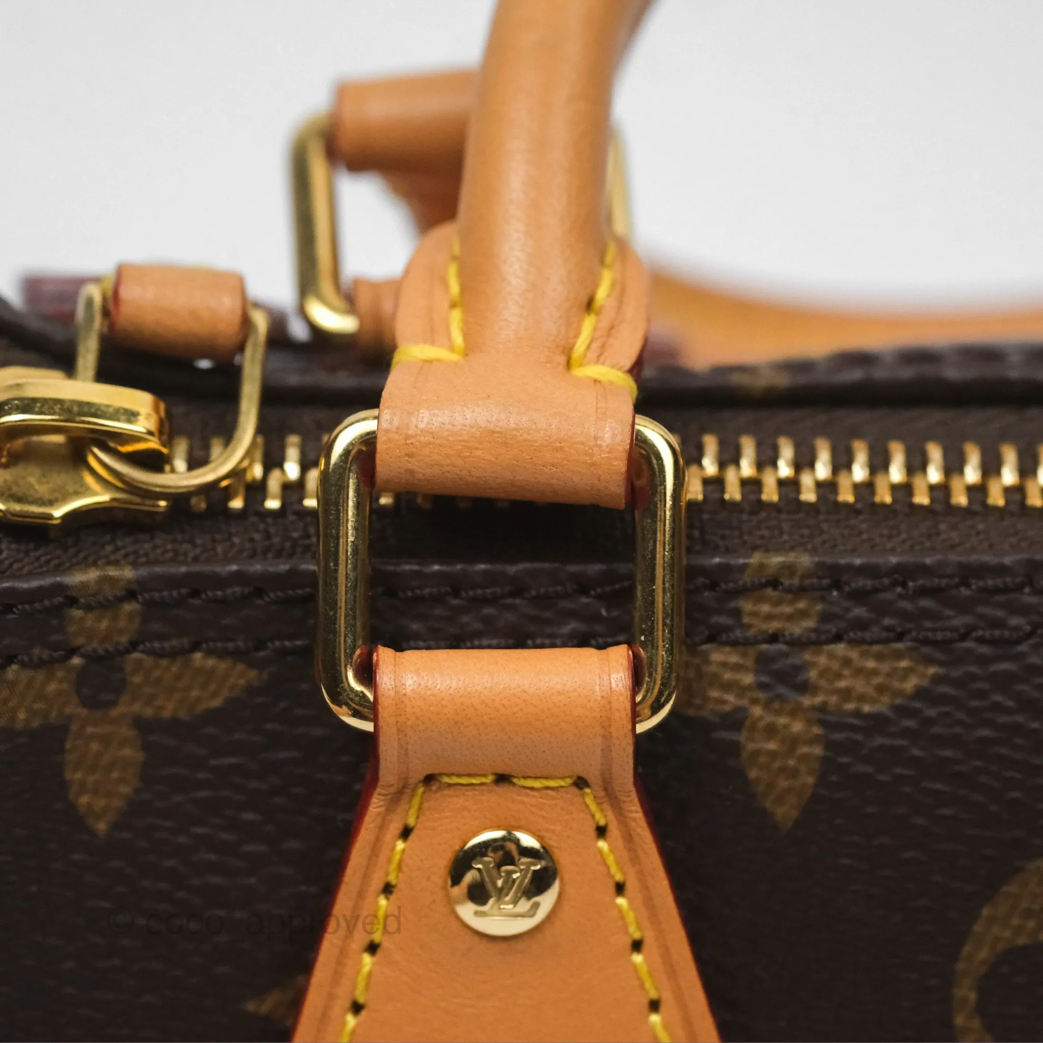 Louis Vuitton Nano Speedy Monogram