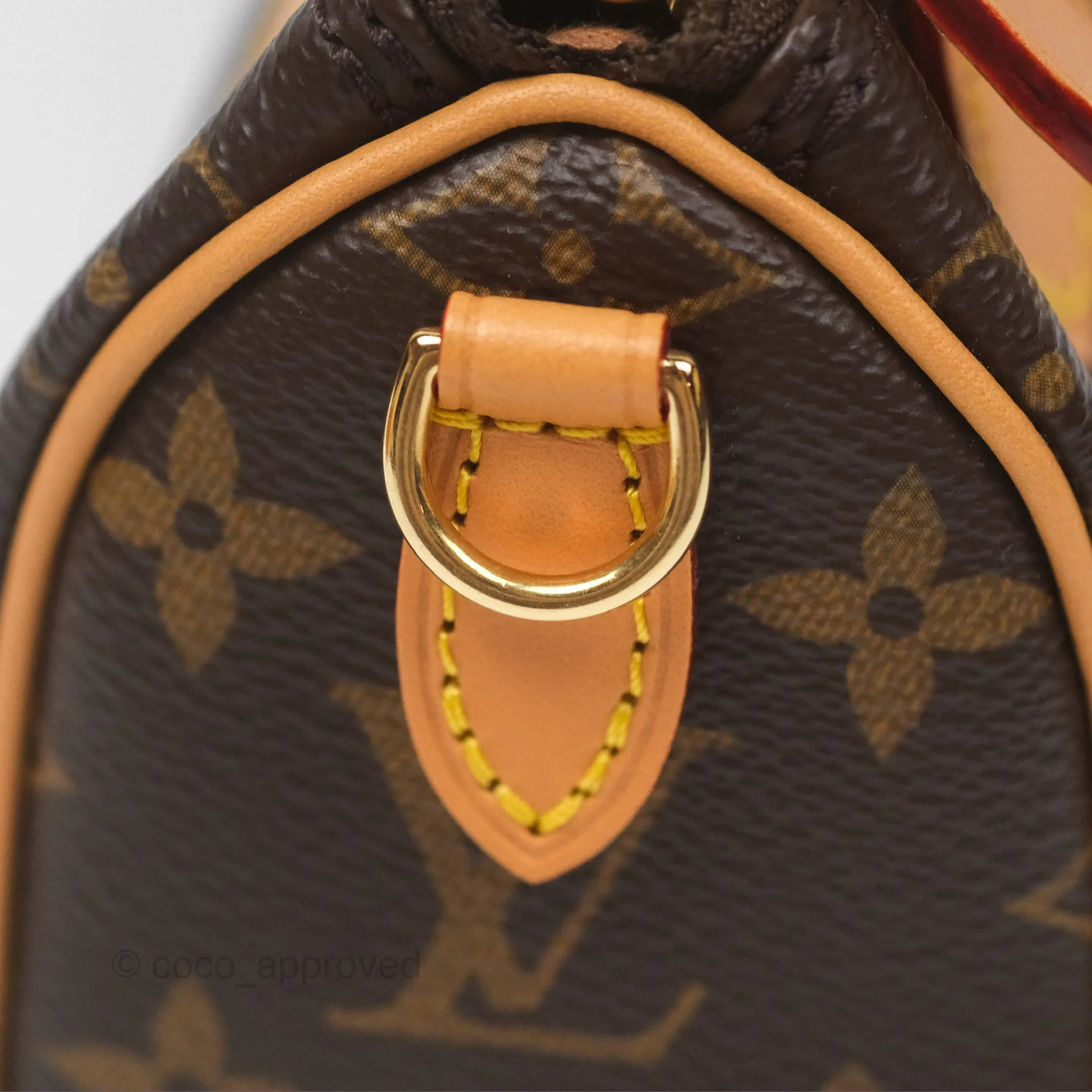 Louis Vuitton Nano Speedy Monogram