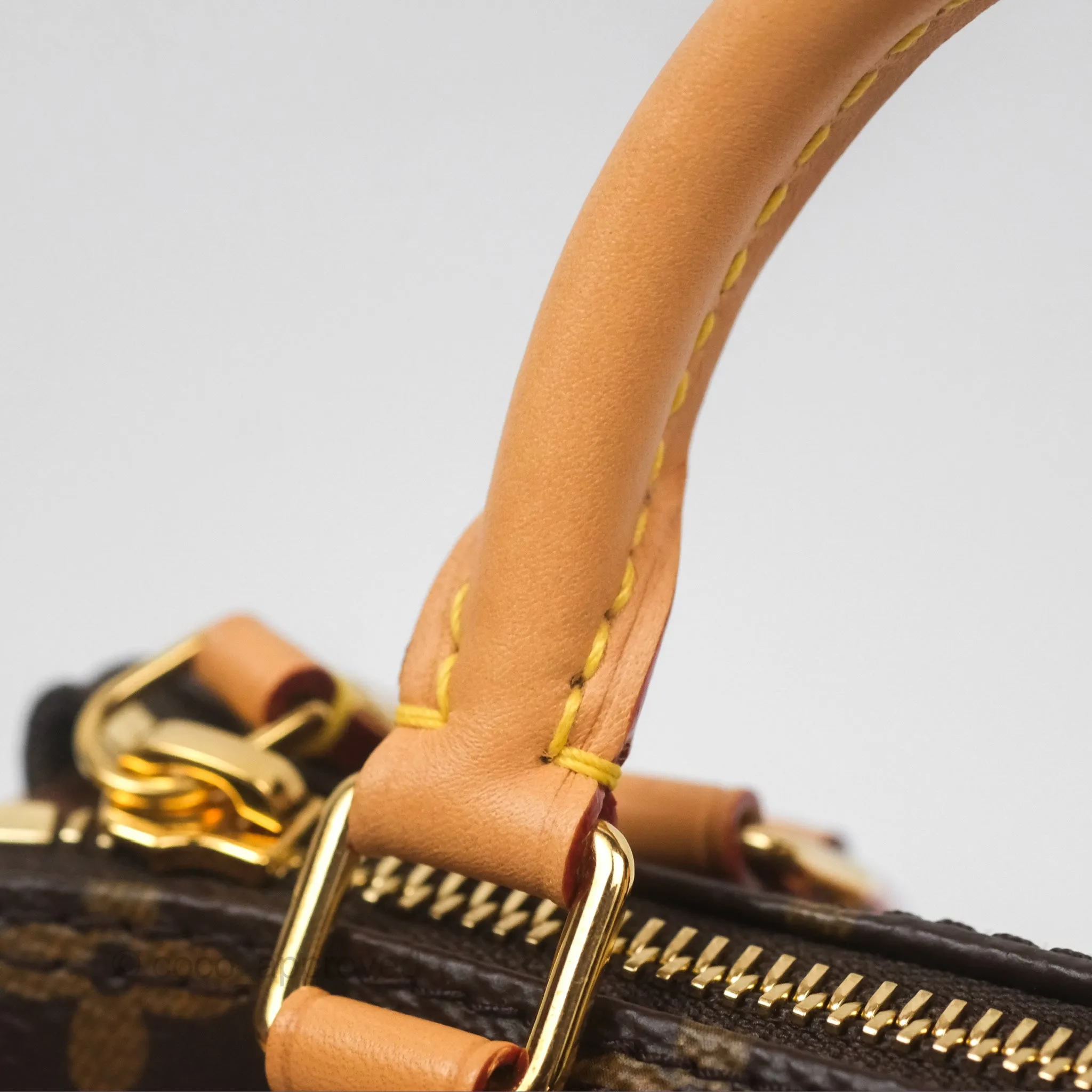 Louis Vuitton Nano Speedy Monogram