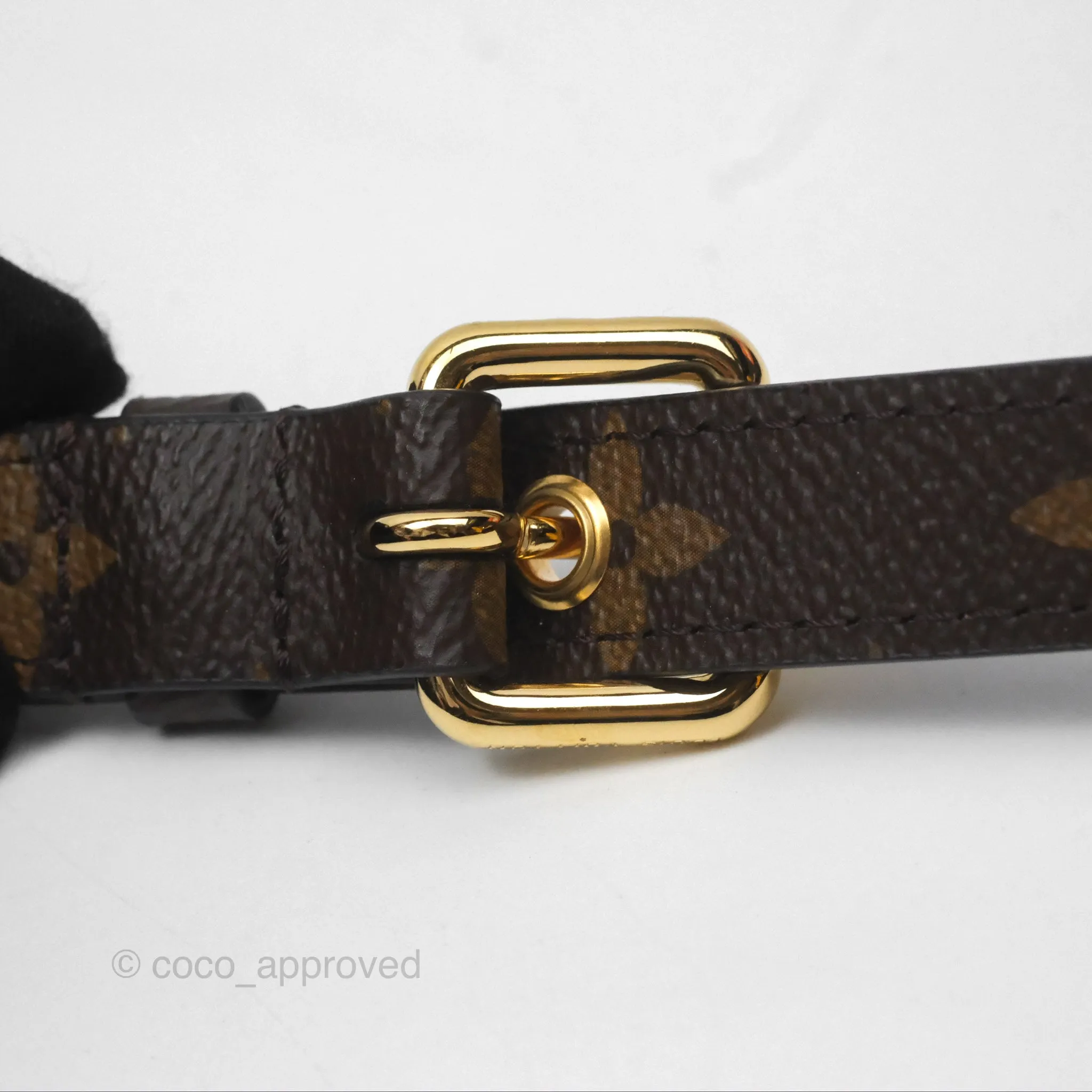 Louis Vuitton Pochette Metis Monogram Canvas