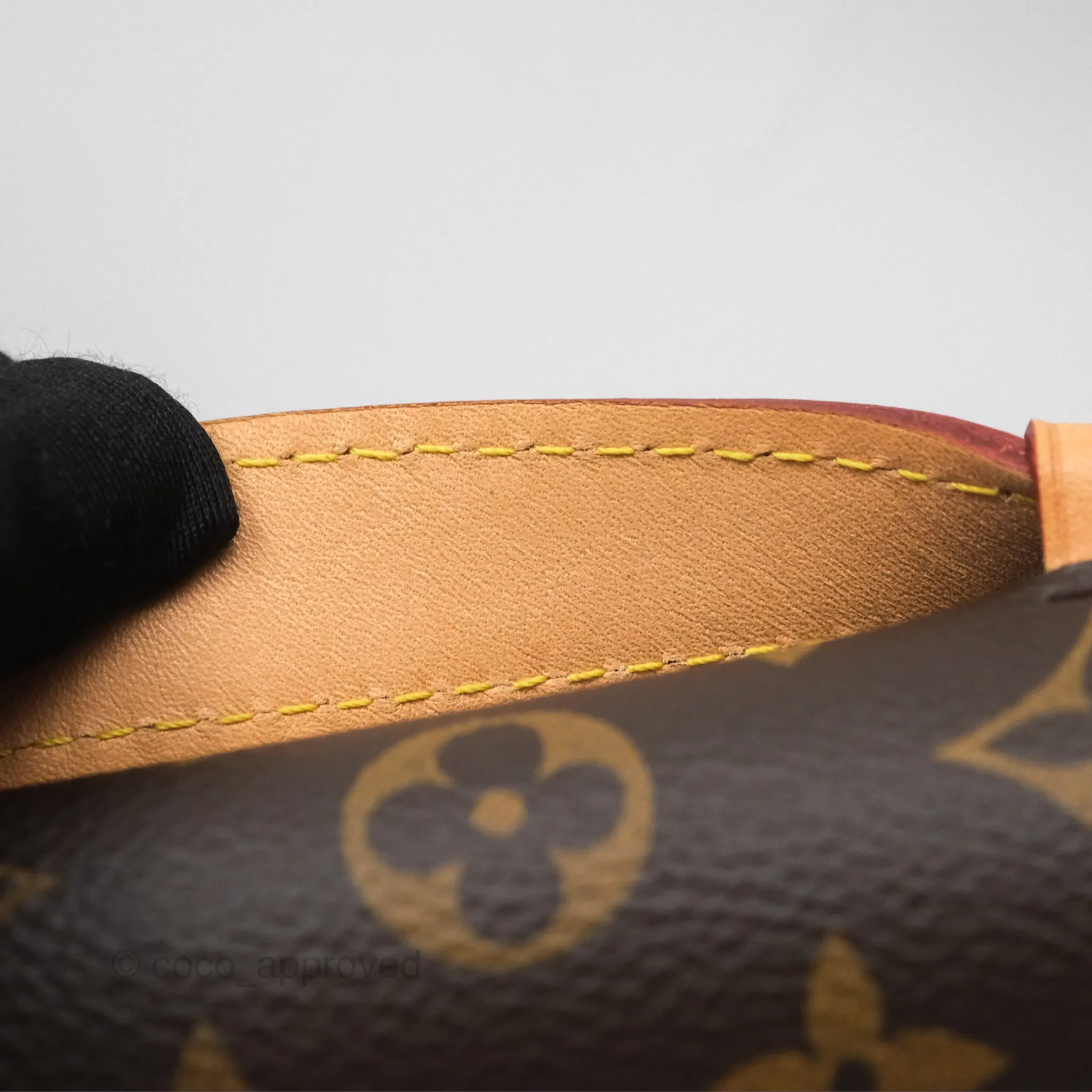 Louis Vuitton Pochette Metis Monogram Canvas