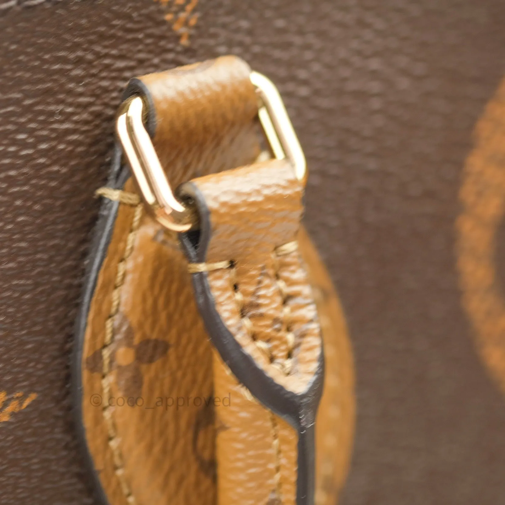 Louis Vuitton Reverse Monogram Giant Onthego GM