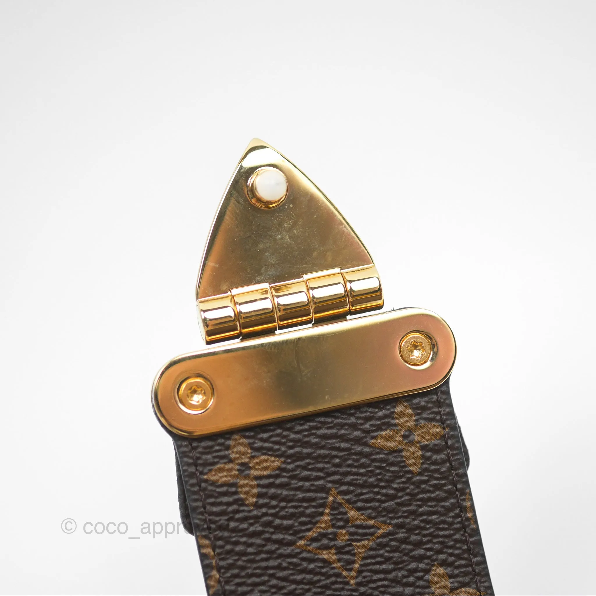 Louis Vuitton Reverse Monogram Petite Malle