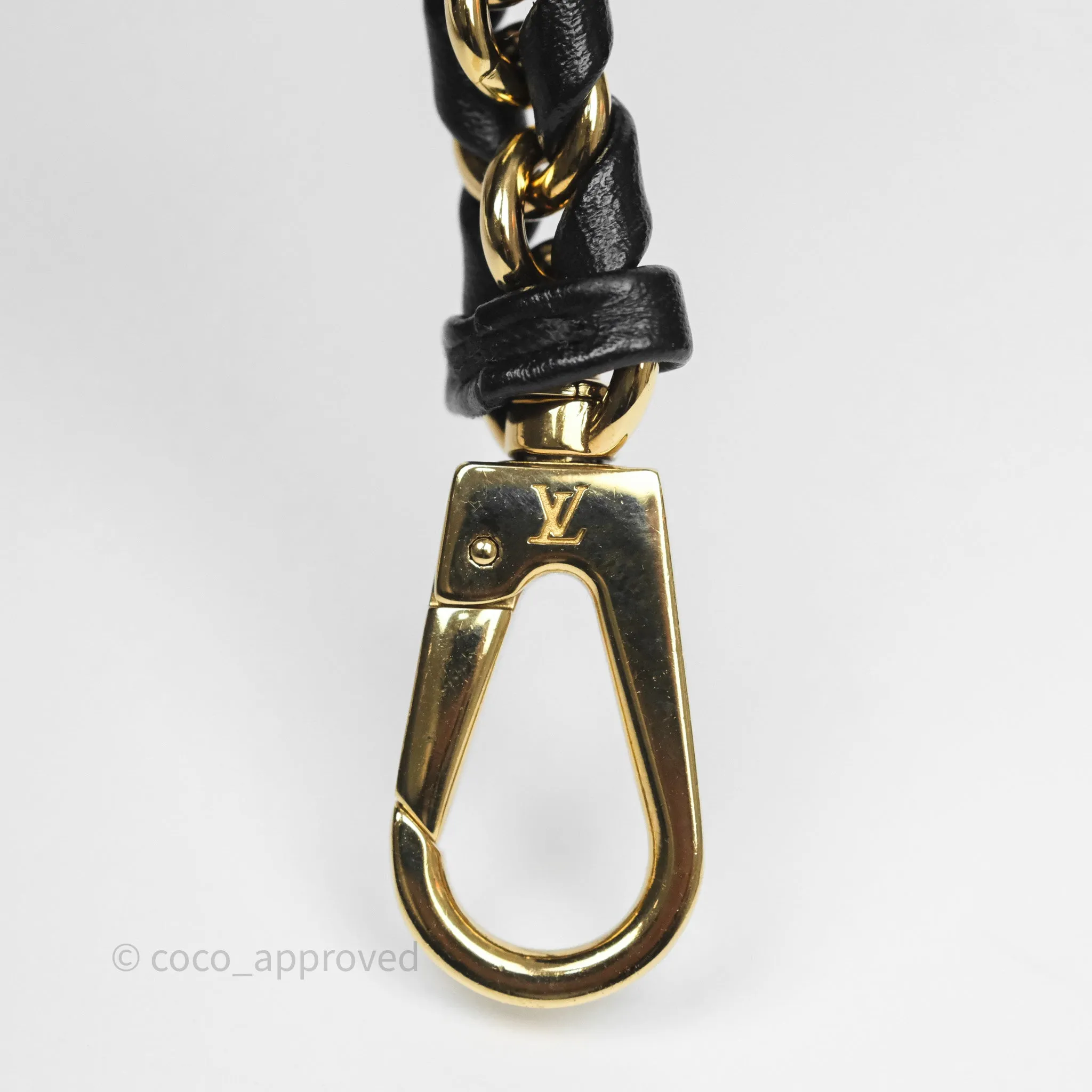 Louis Vuitton Reverse Monogram Vanity PM