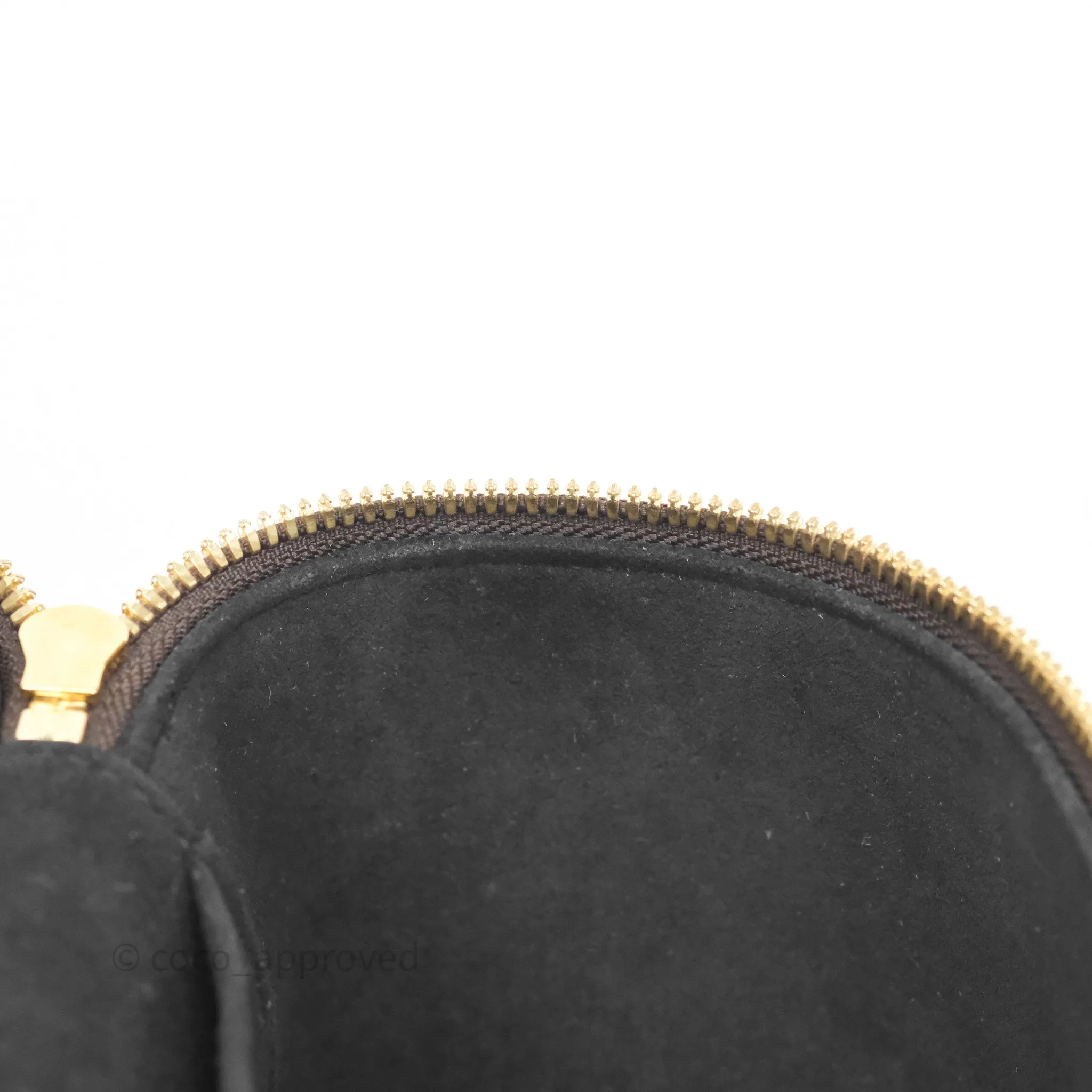 Louis Vuitton Reverse Monogram Vanity PM