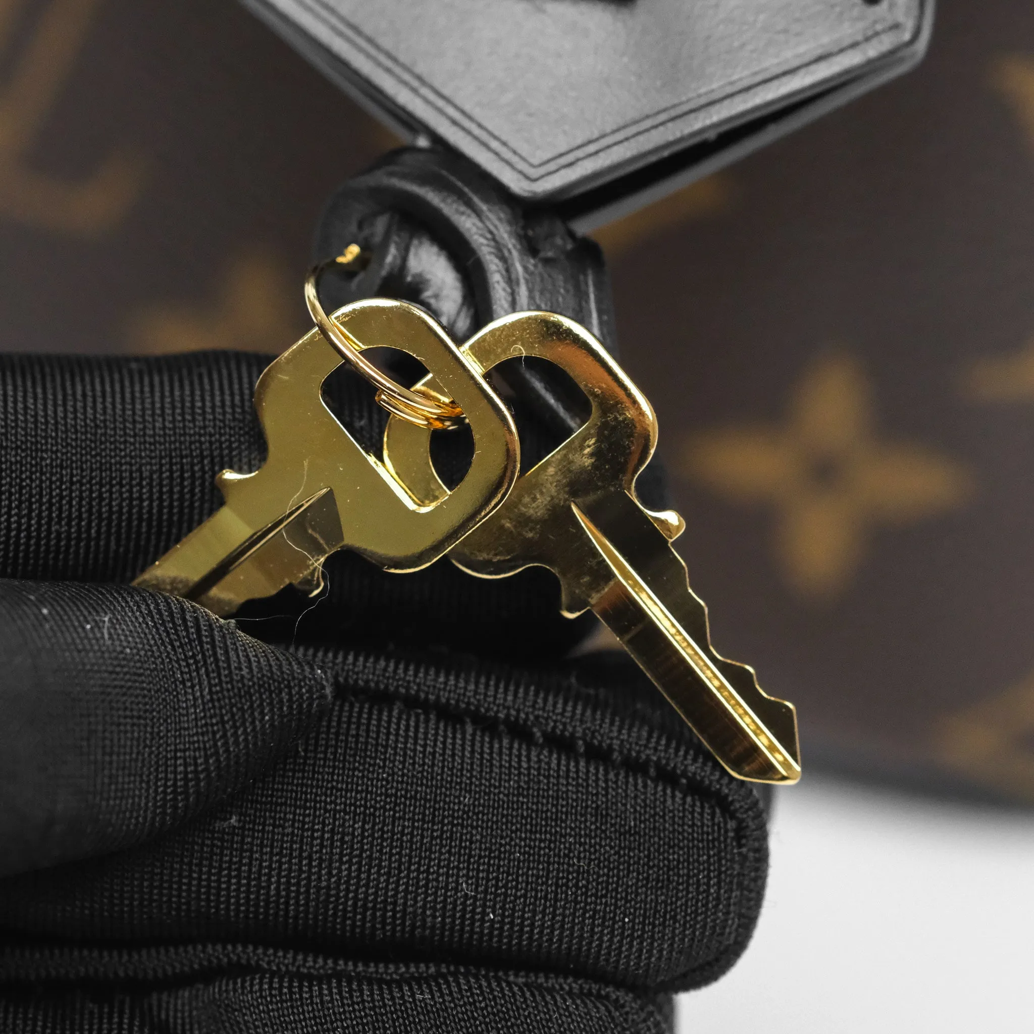 Louis Vuitton Reverse Monogram Vanity PM