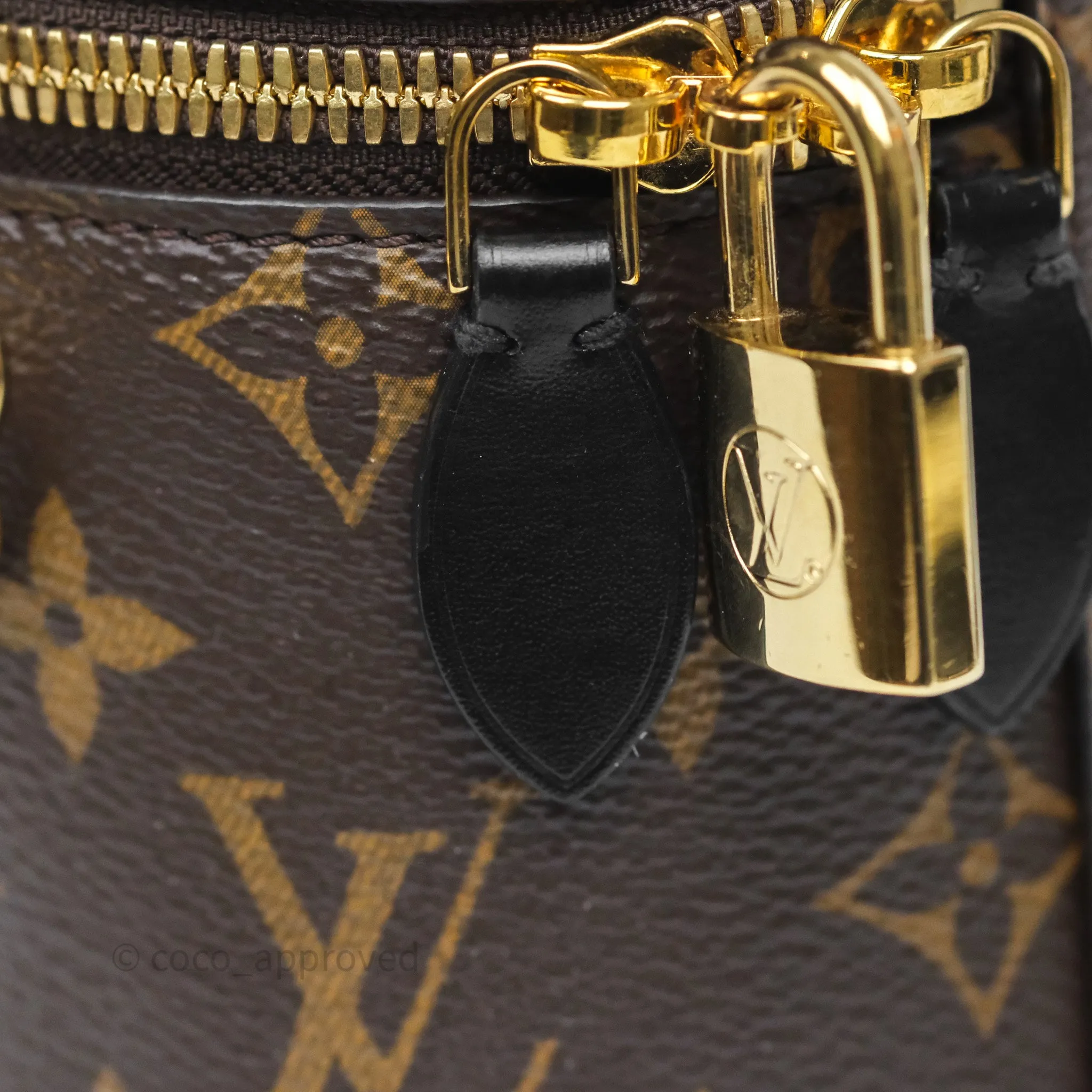 Louis Vuitton Reverse Monogram Vanity PM