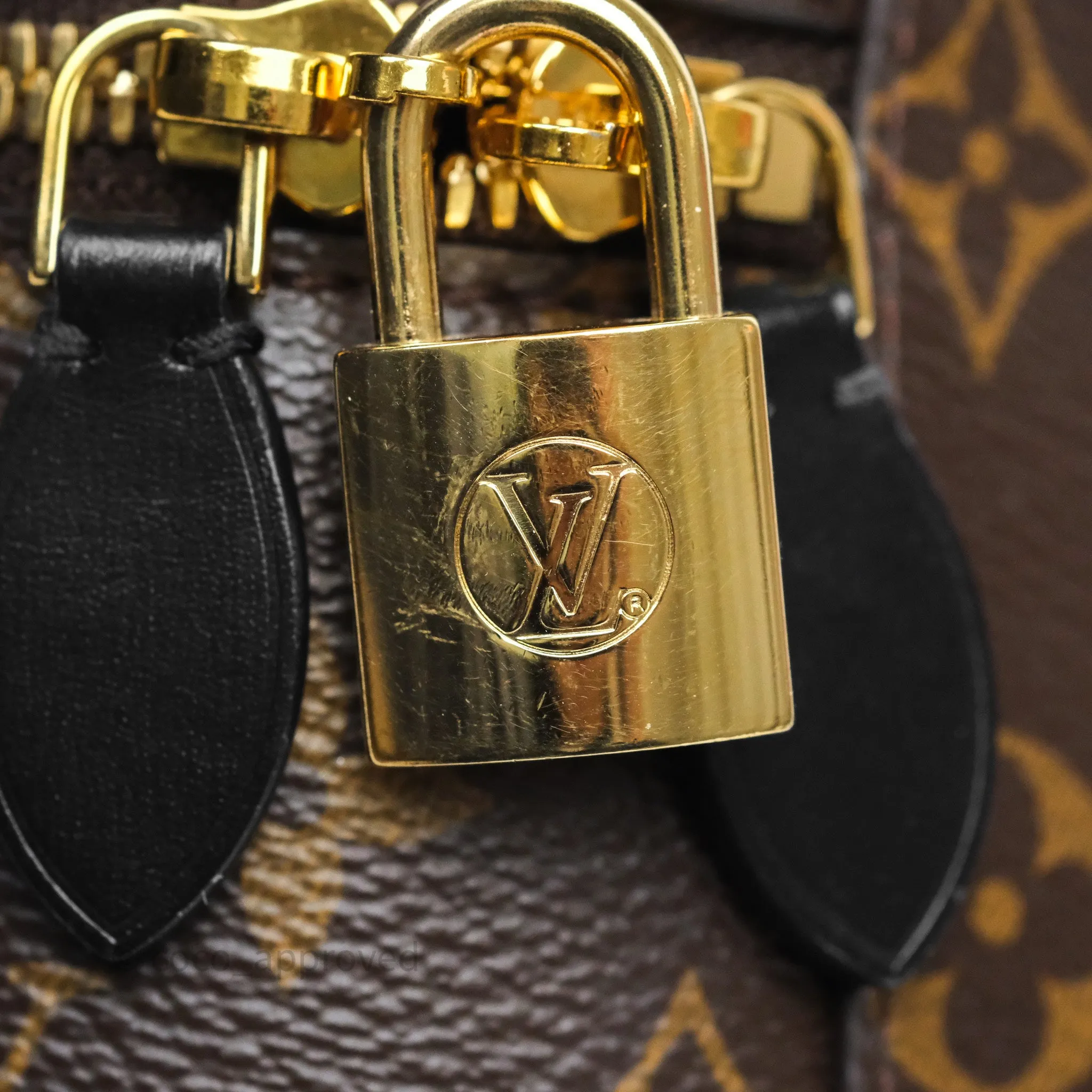 Louis Vuitton Reverse Monogram Vanity PM