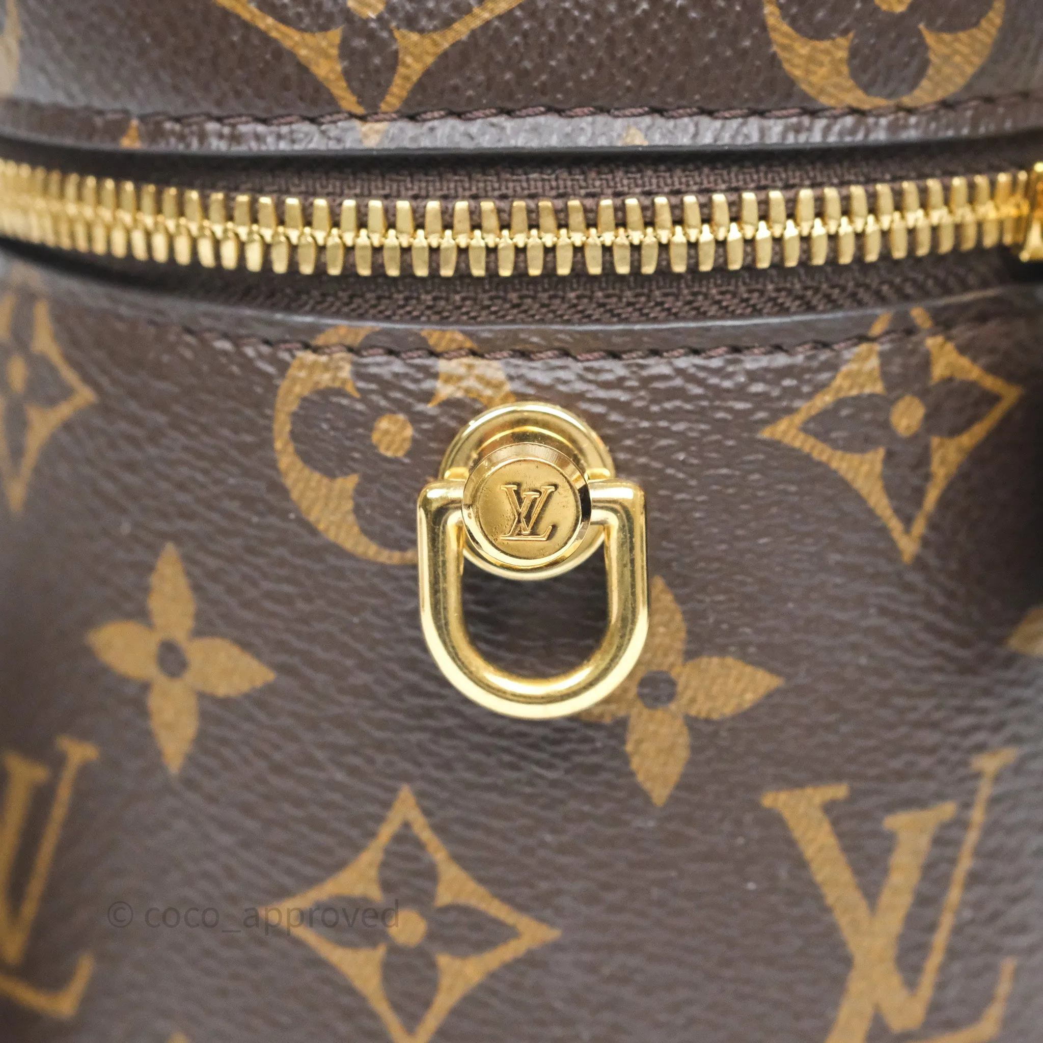 Louis Vuitton Reverse Monogram Vanity PM
