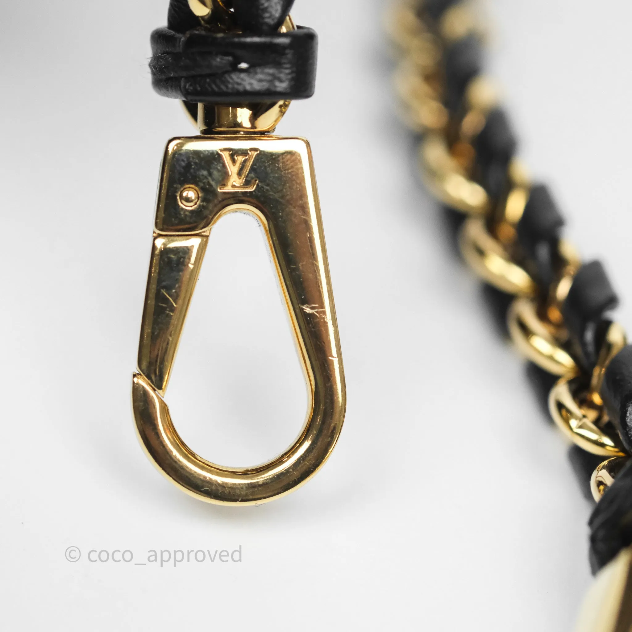 Louis Vuitton Reverse Monogram Vanity PM