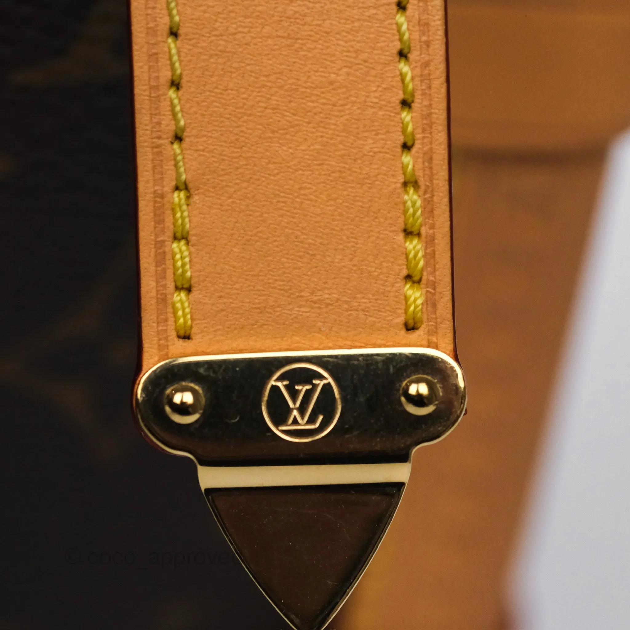 Louis Vuitton Side Trunk MM Monogram Canvas