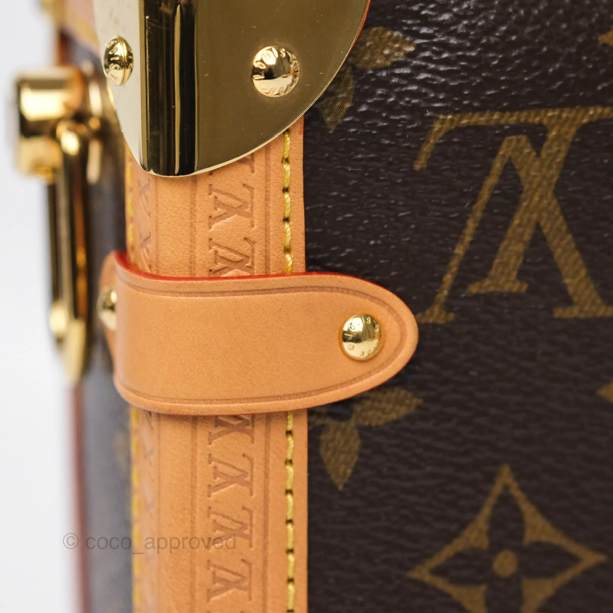 Louis Vuitton Side Trunk MM Monogram Canvas