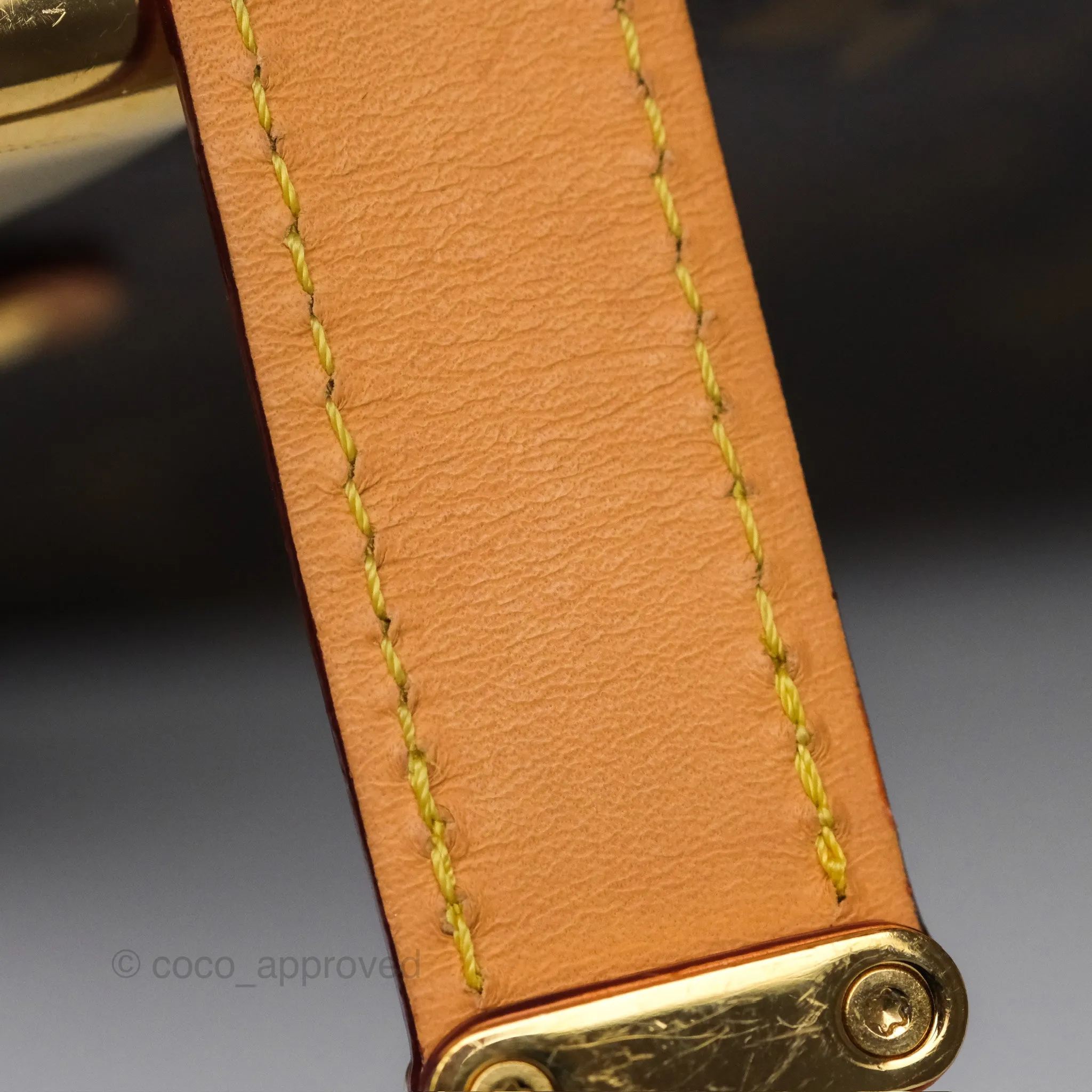 Louis Vuitton Side Trunk MM Monogram Canvas