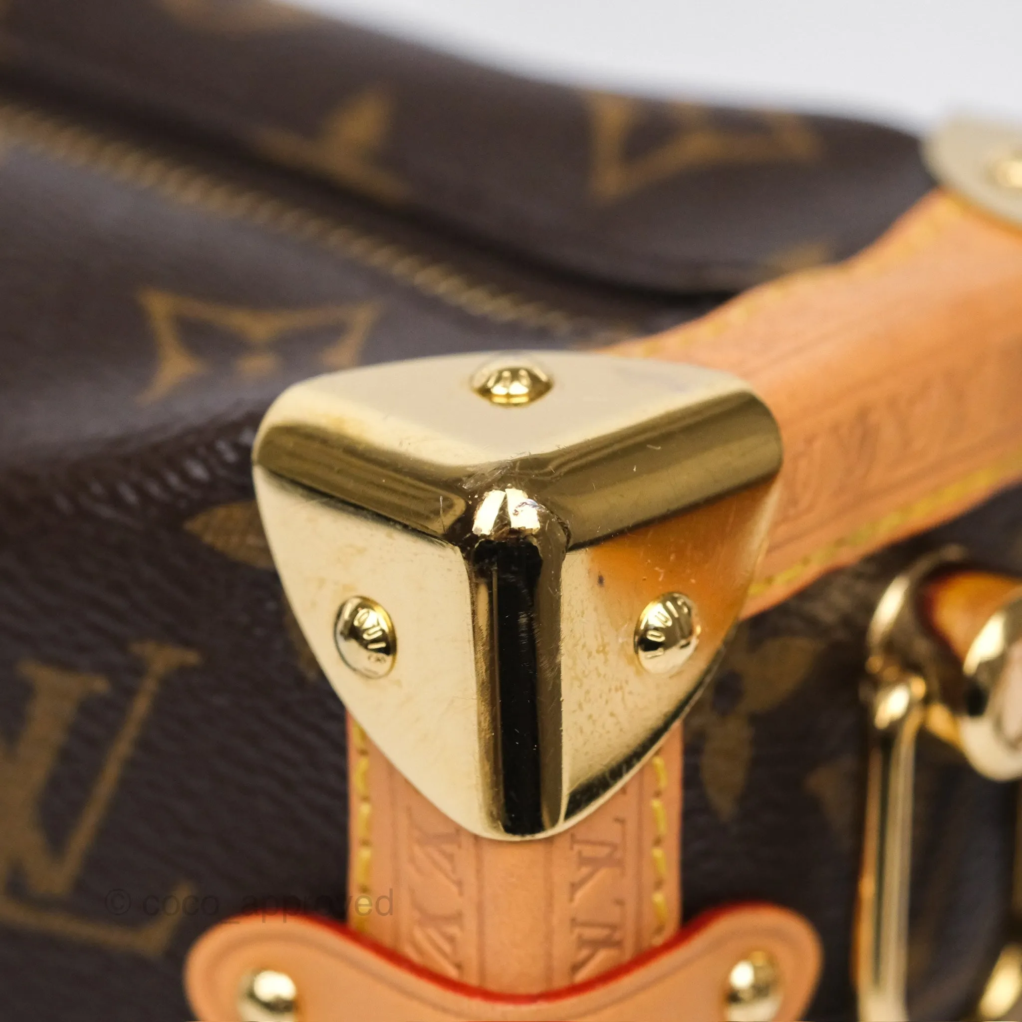 Louis Vuitton Side Trunk MM Monogram Canvas